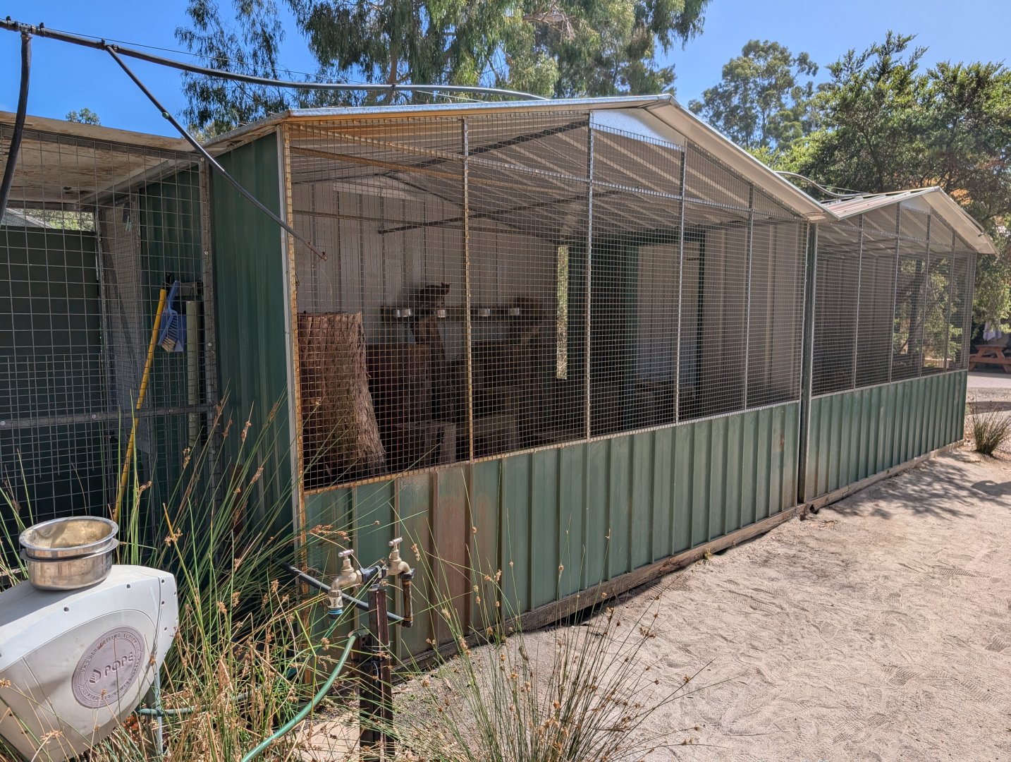 Unadorned rock-wallaby enclosure