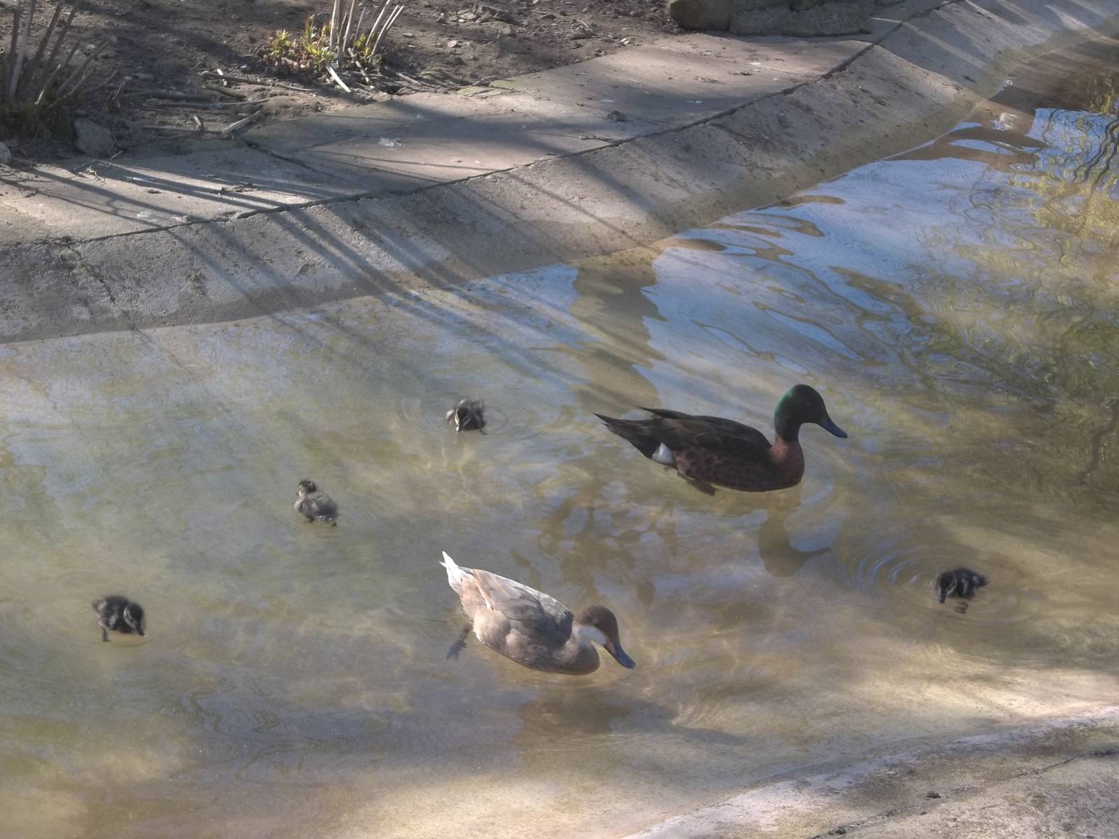 Unconventional family, 21st April 2015