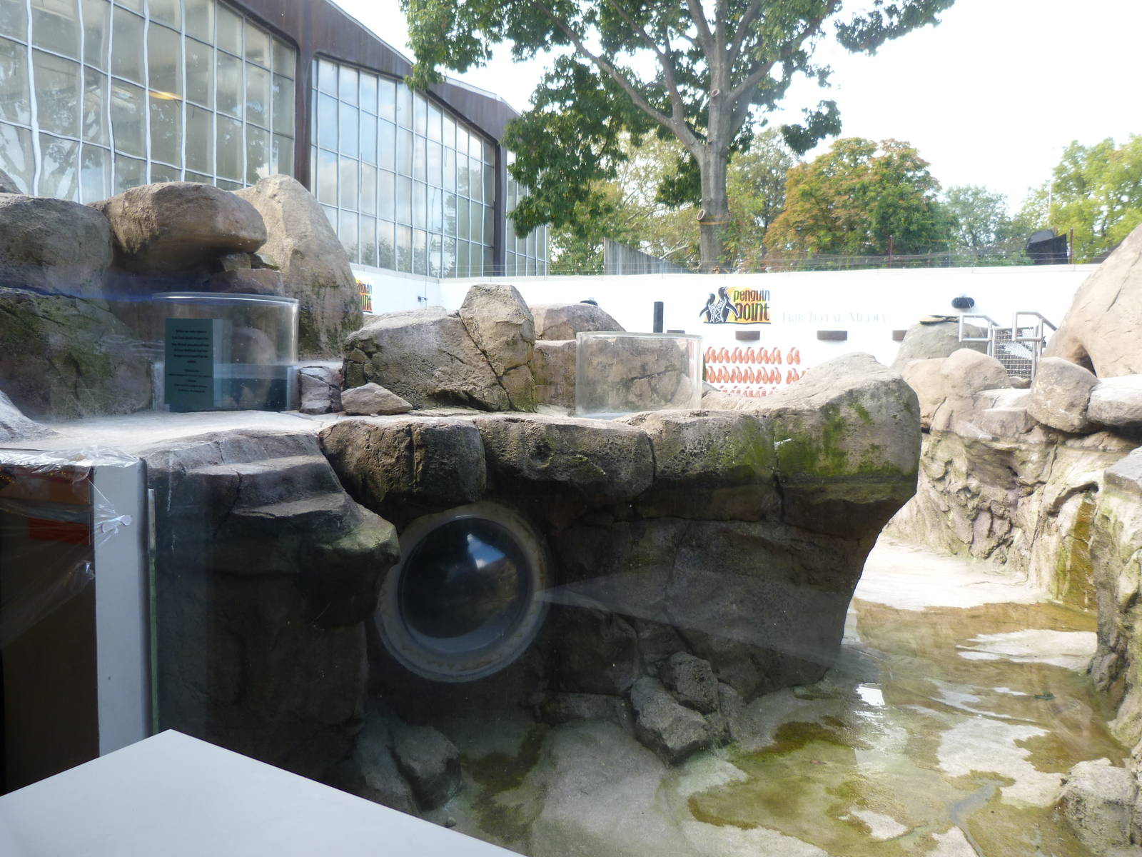 Under Construction: Penguin Point 10-12-12