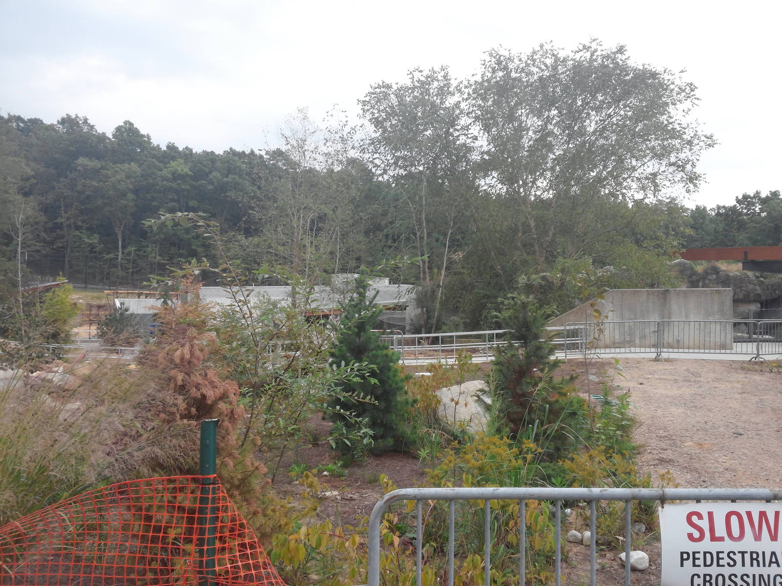 Under Construction - Polar Bear Exhibit