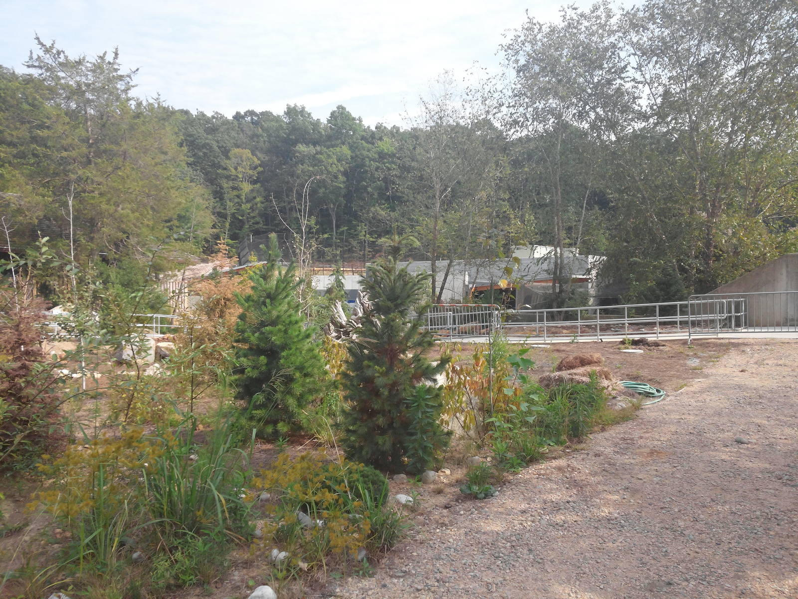 Under Construction - Polar Bear Exhibit