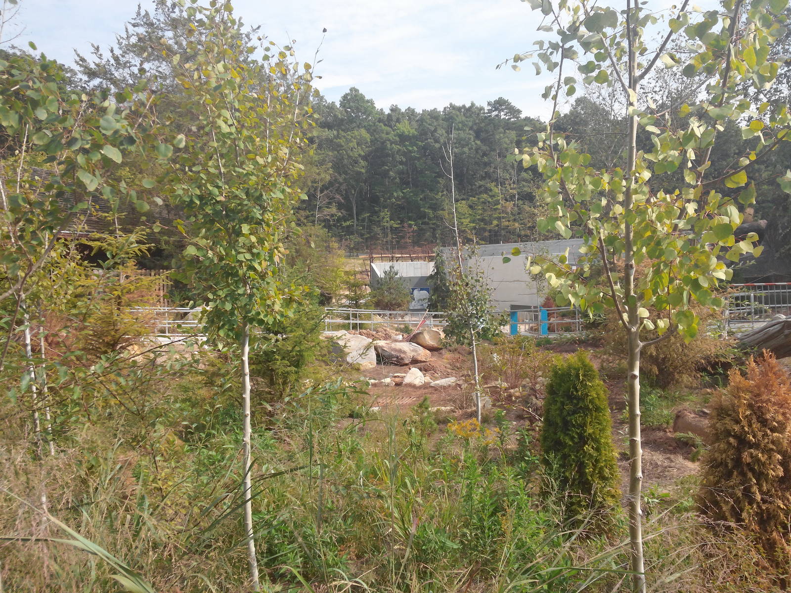 Under Construction - Polar Bear Exhibit