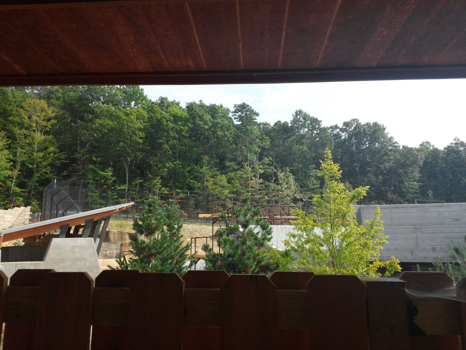 Under Construction - Polar Bear Exhibit