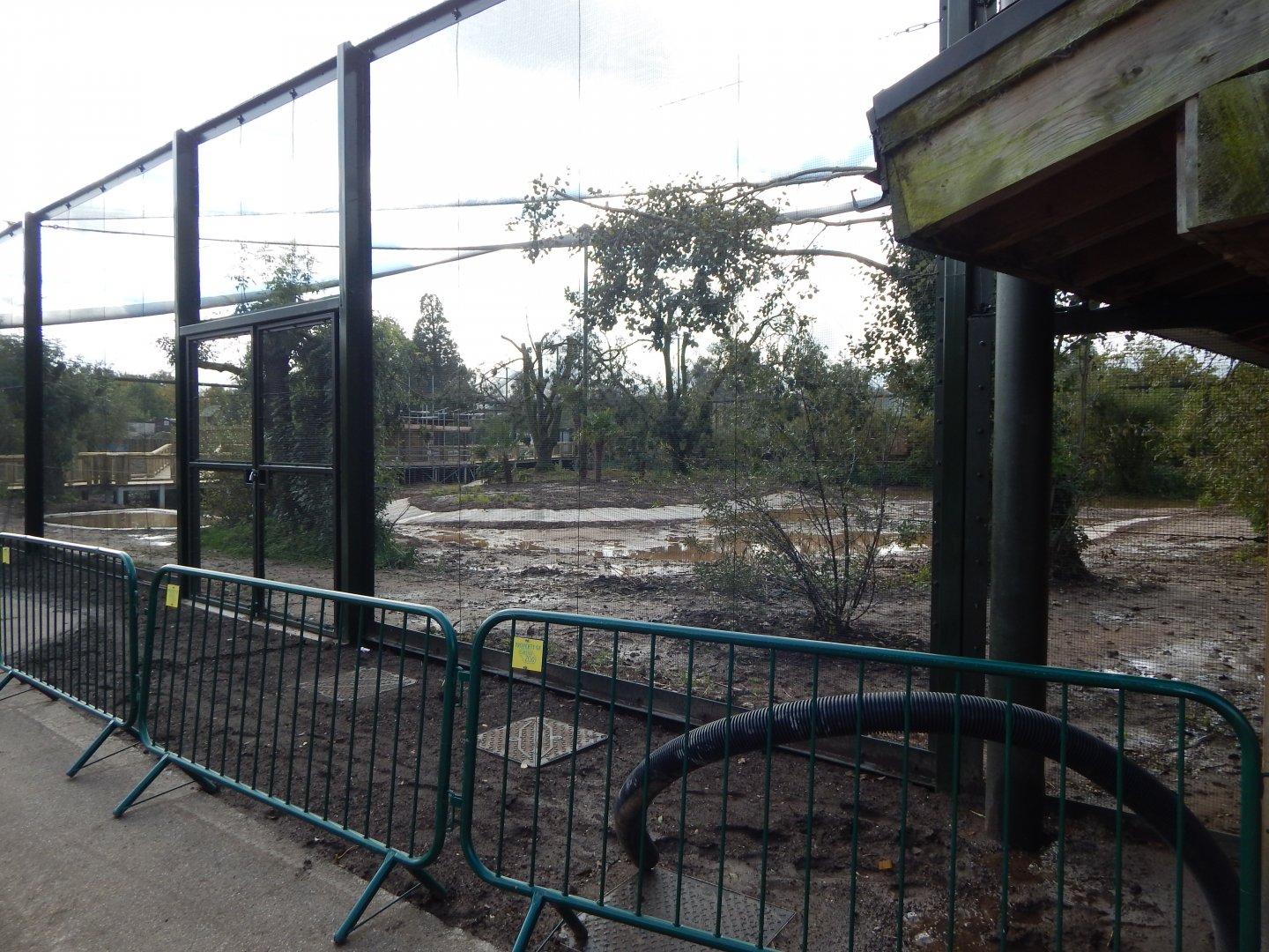 Under development South American walkthrough aviary 081020