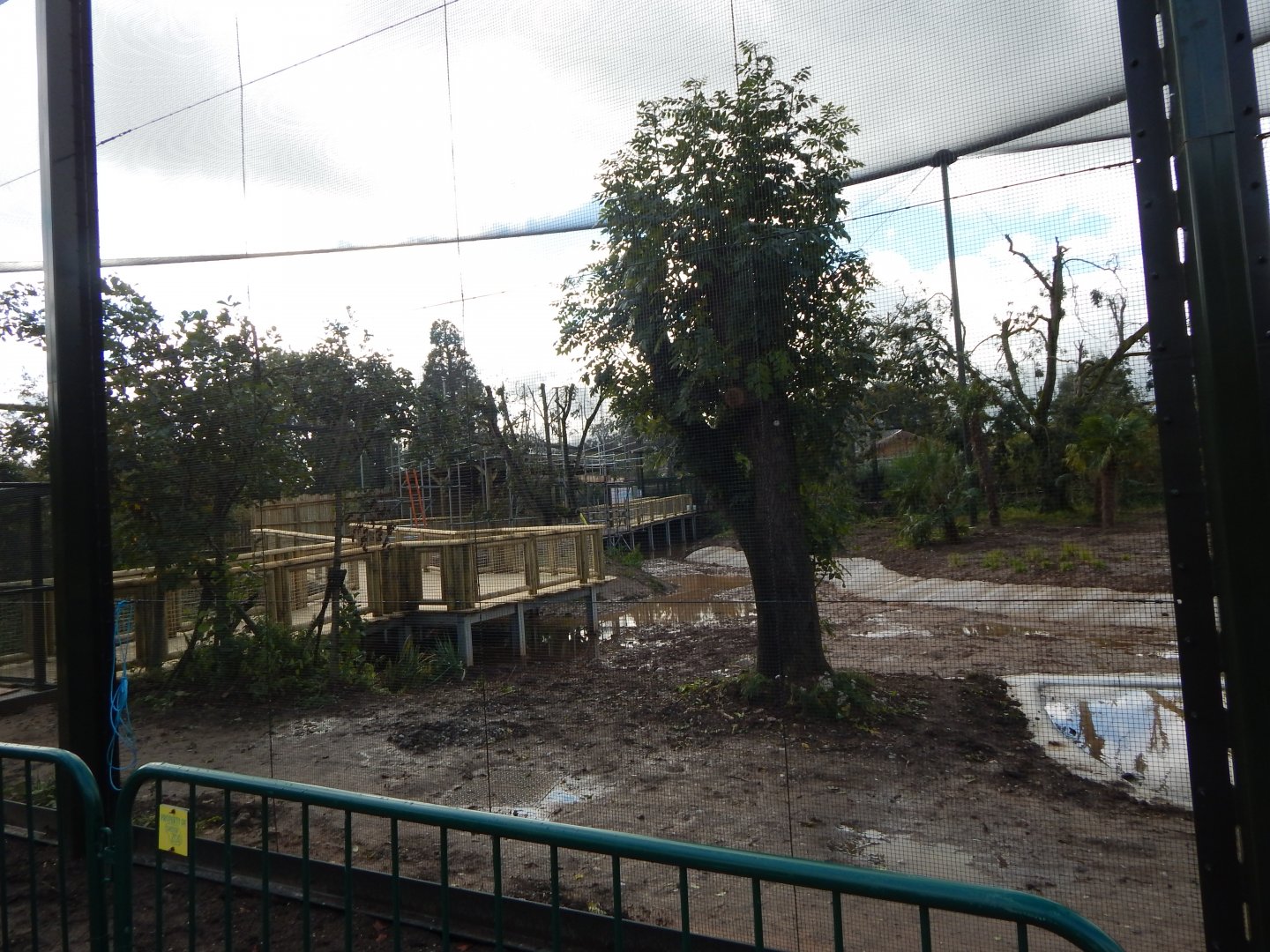 Under development South American walkthrough aviary 081020