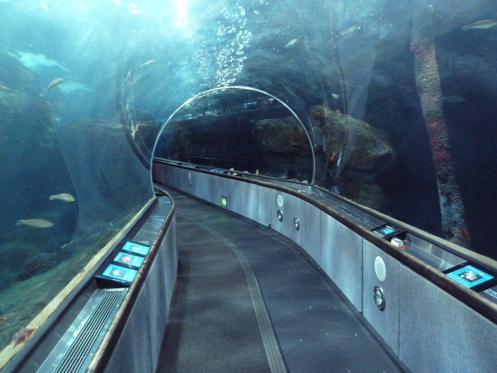 Under The Bay - Walk-Through Tunnel