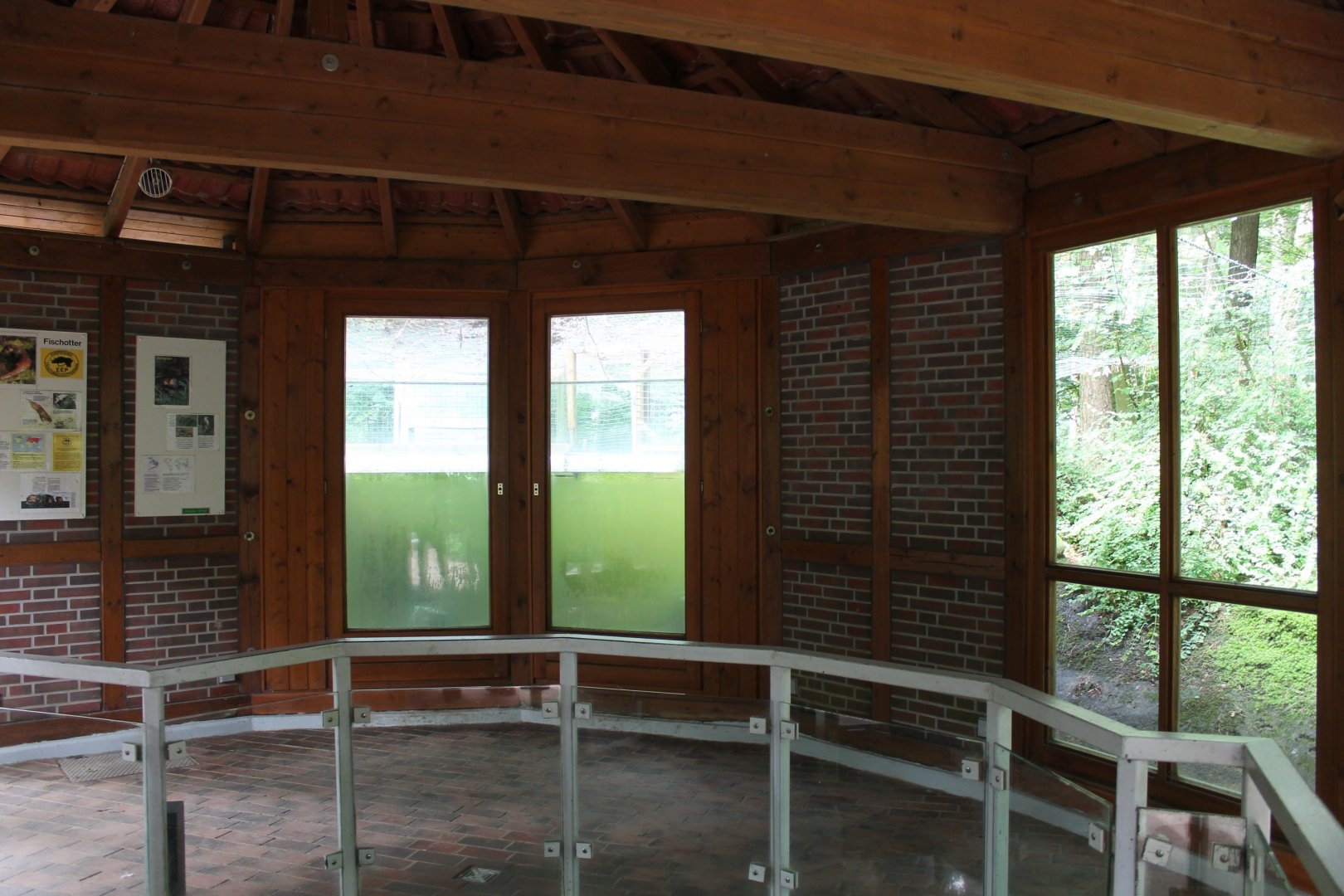 Under-water Otter-viewing