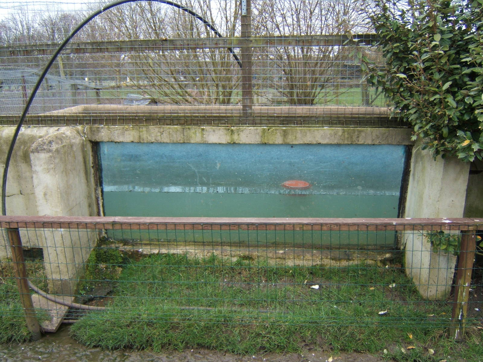 Under water viewing taken 24/03/2007