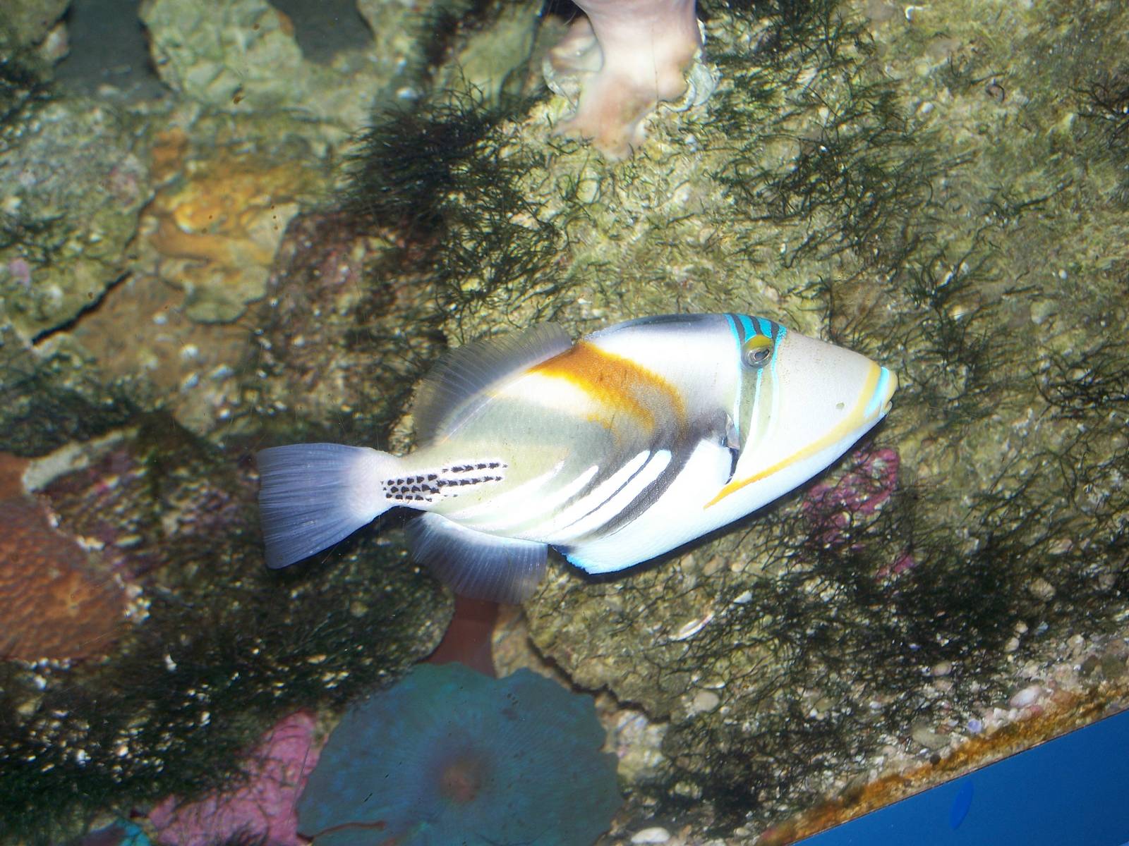 Under water world 2009