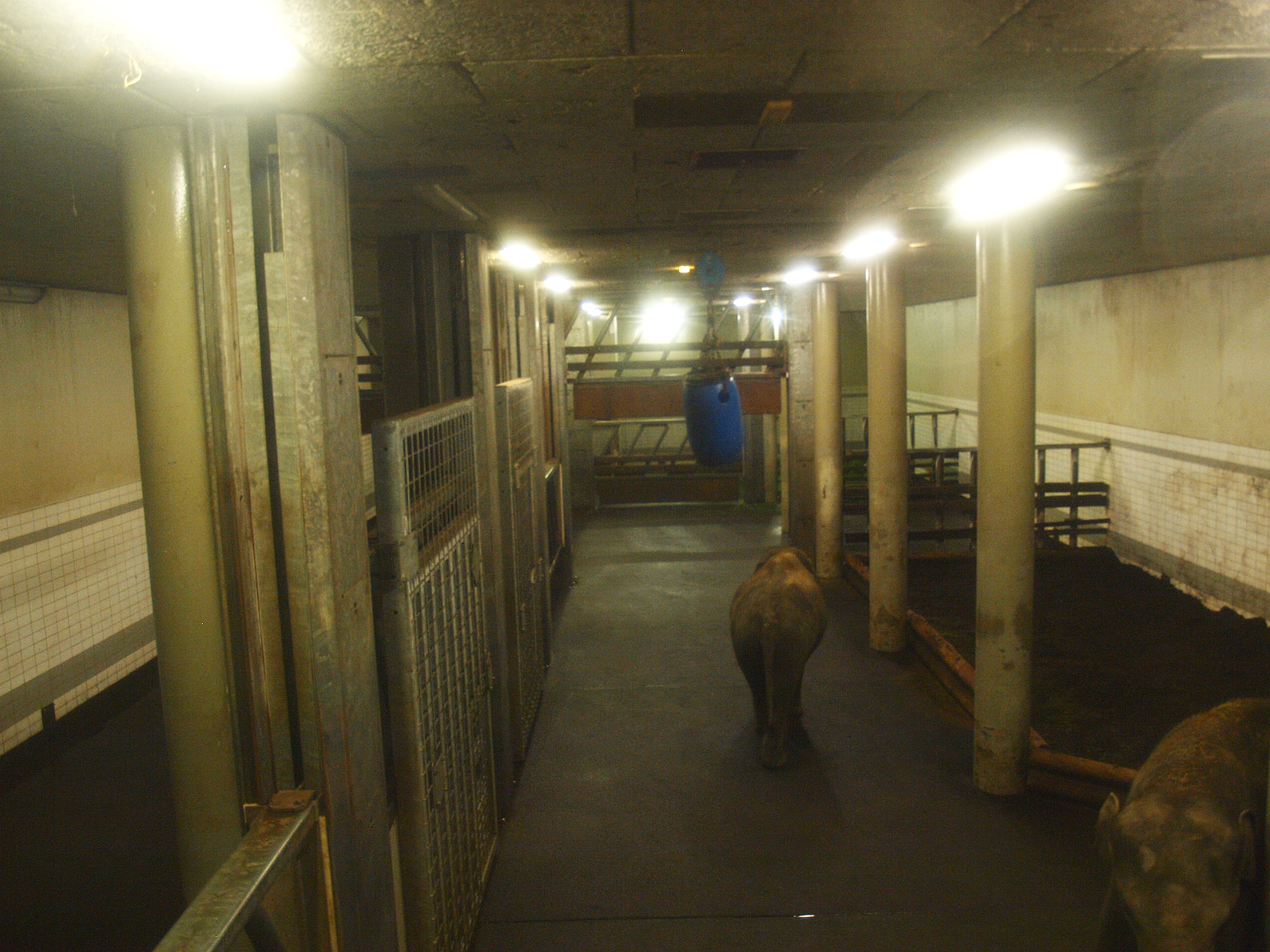 Underground Asian elephant stables, 2015-07-19