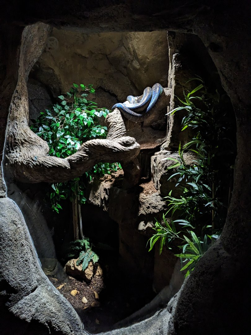 Underground Exhibits