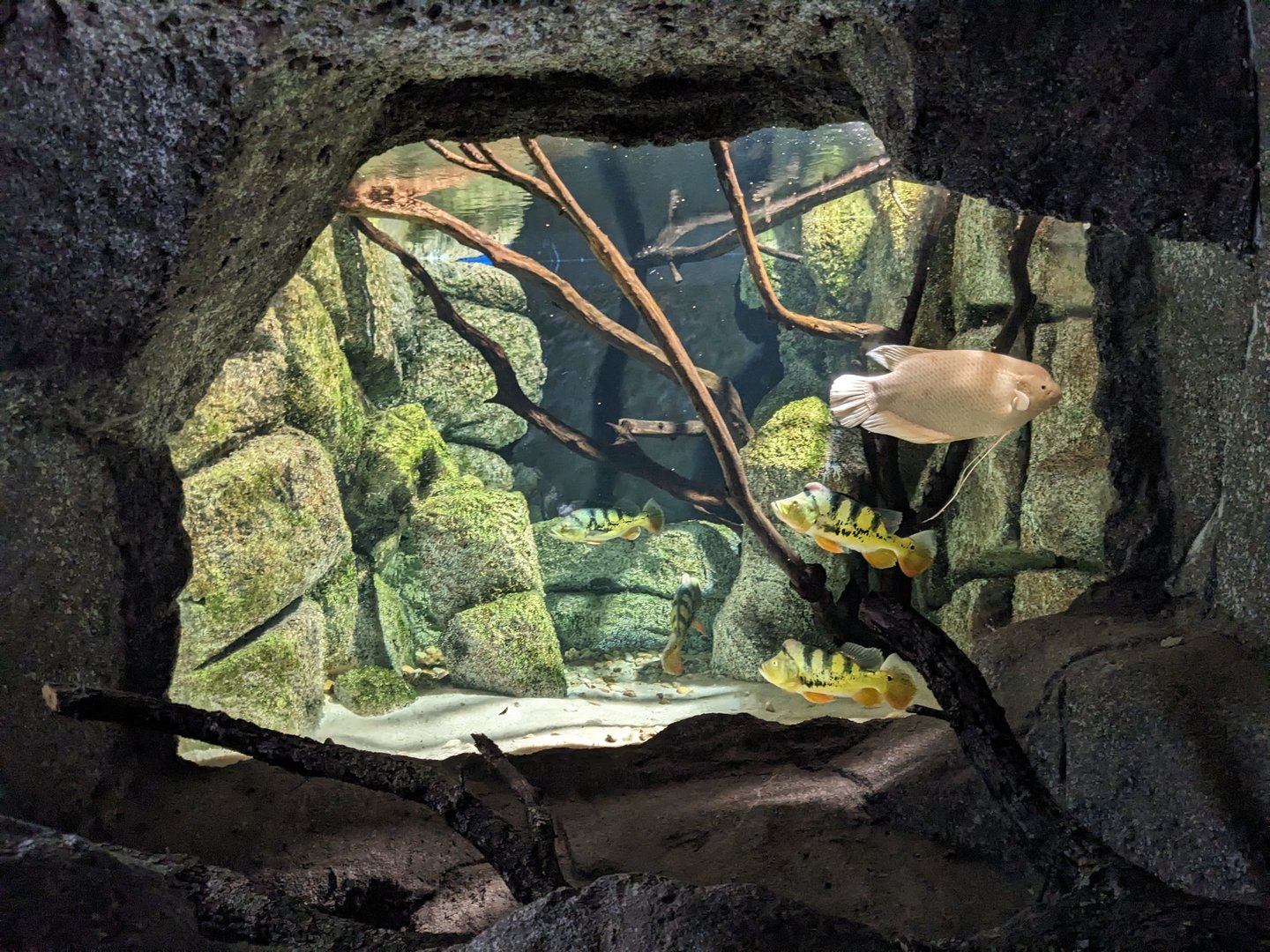 Underground Exhibits