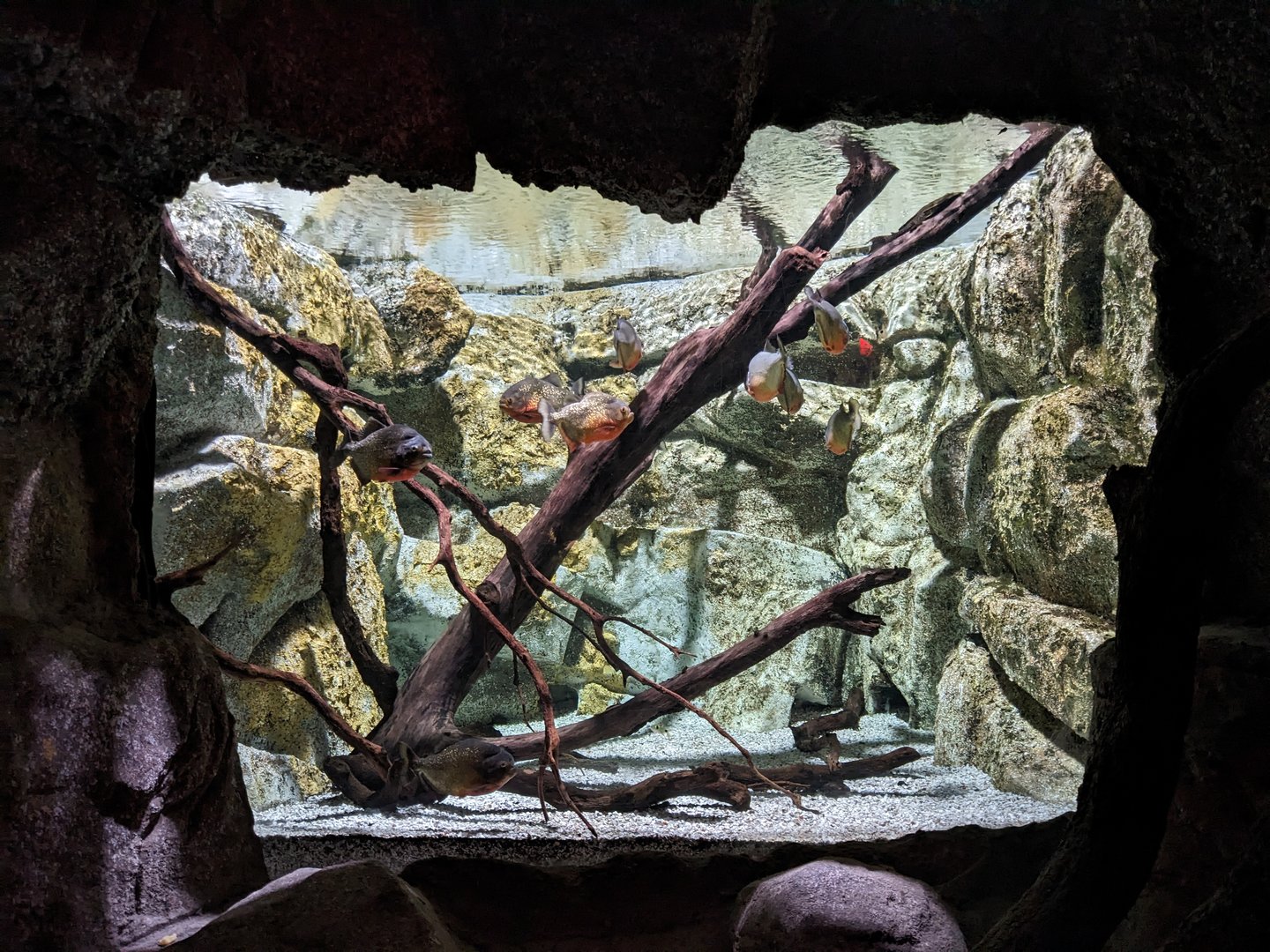 Underground Exhibits