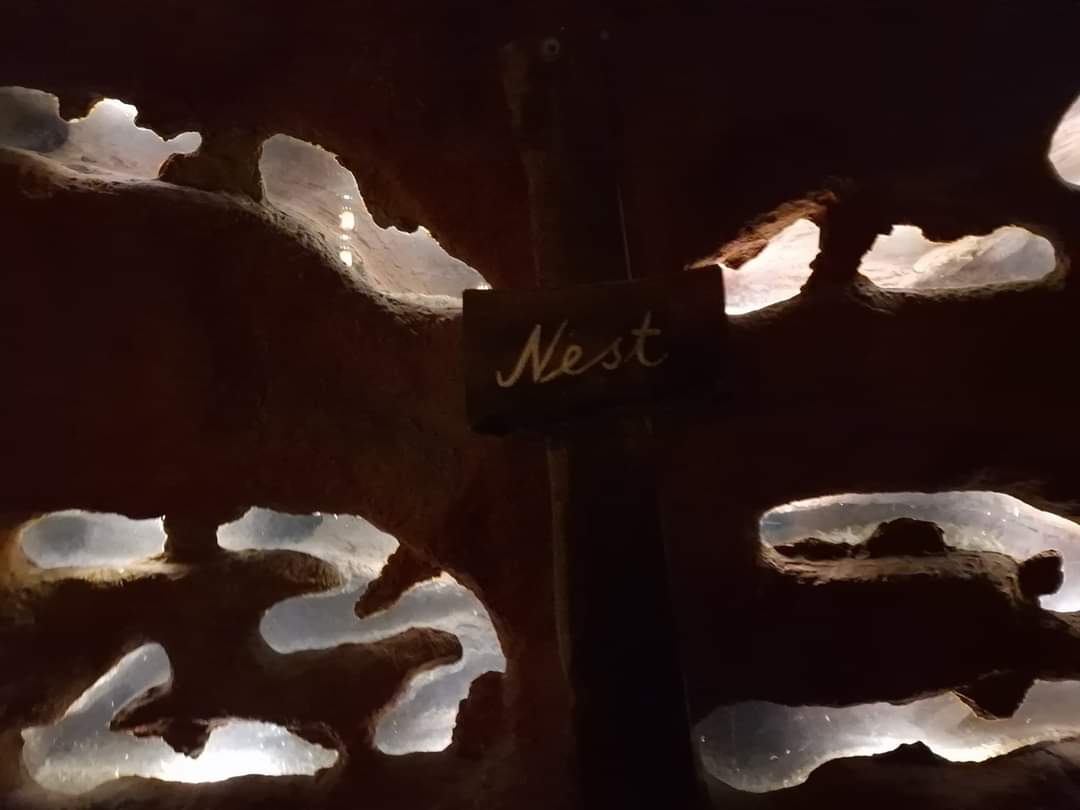 Underground Naked Mole rat exhibit