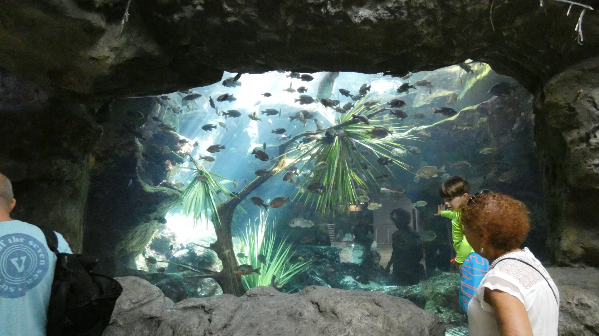 Underground Spring, Wetlands Trail - Aug. 2021