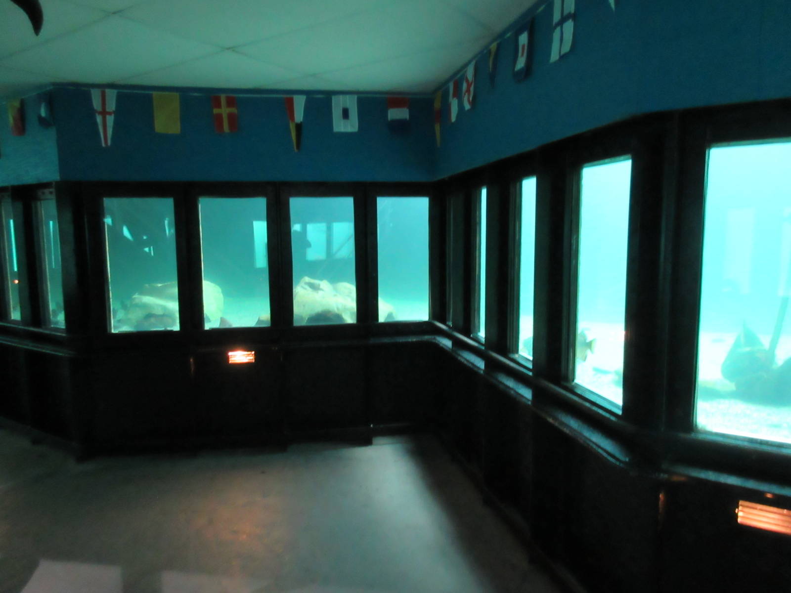 Undersea World (500,000 gallon tank divided into 4 exhibits)