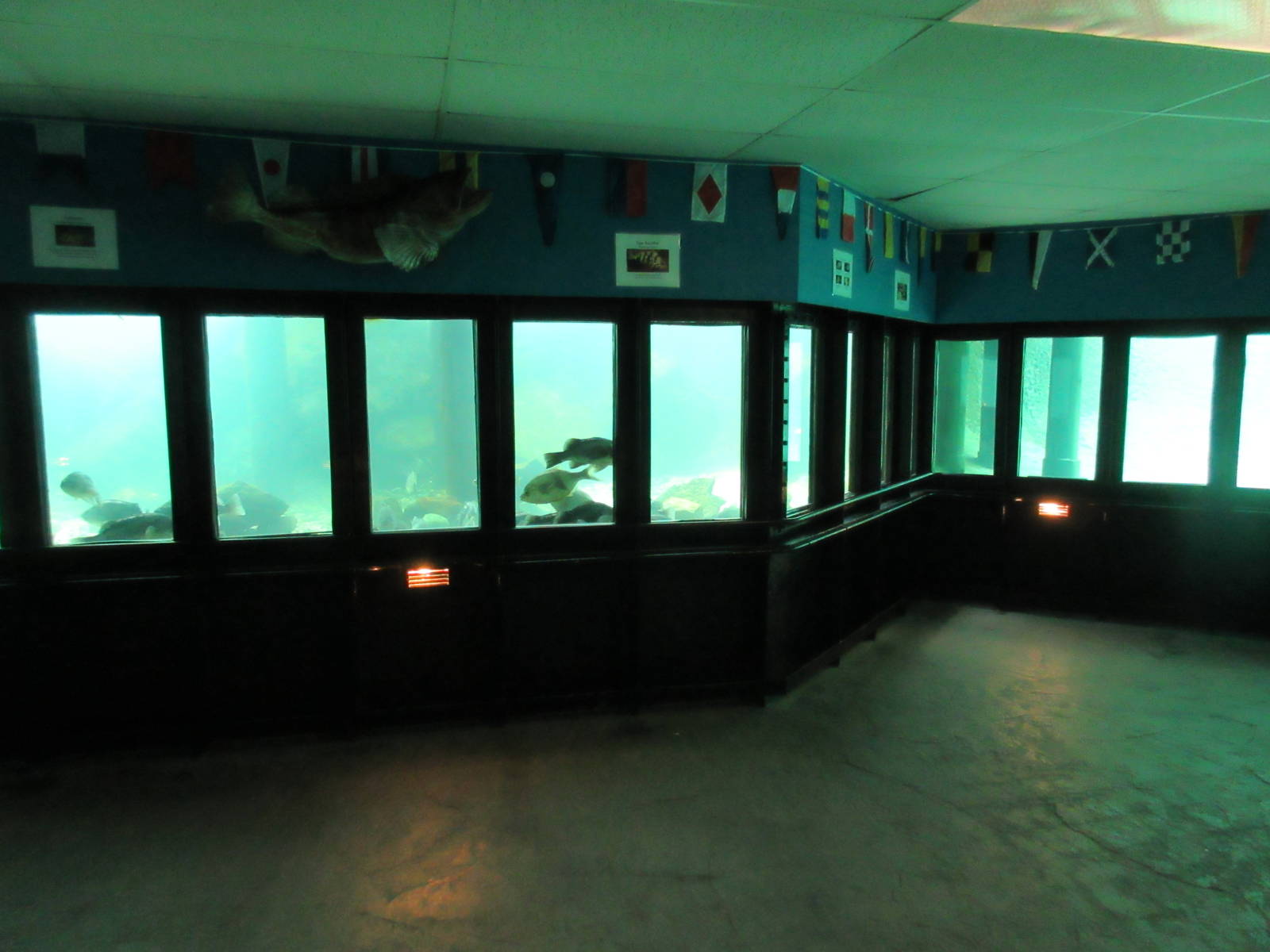 Undersea World (500,000 gallon tank divided into 4 exhibits)