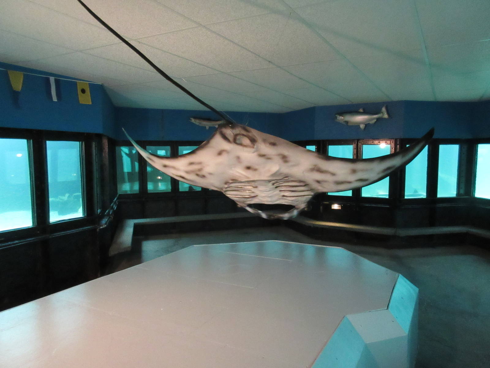 Undersea World (500,000 gallon tank divided into 4 exhibits)