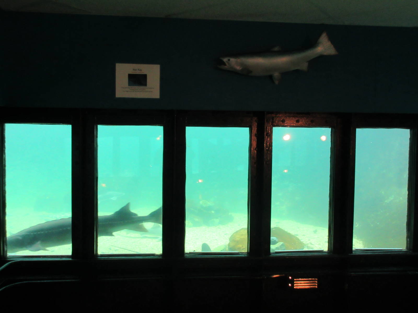 Undersea World (500,000 gallon tank divided into 4 exhibits)