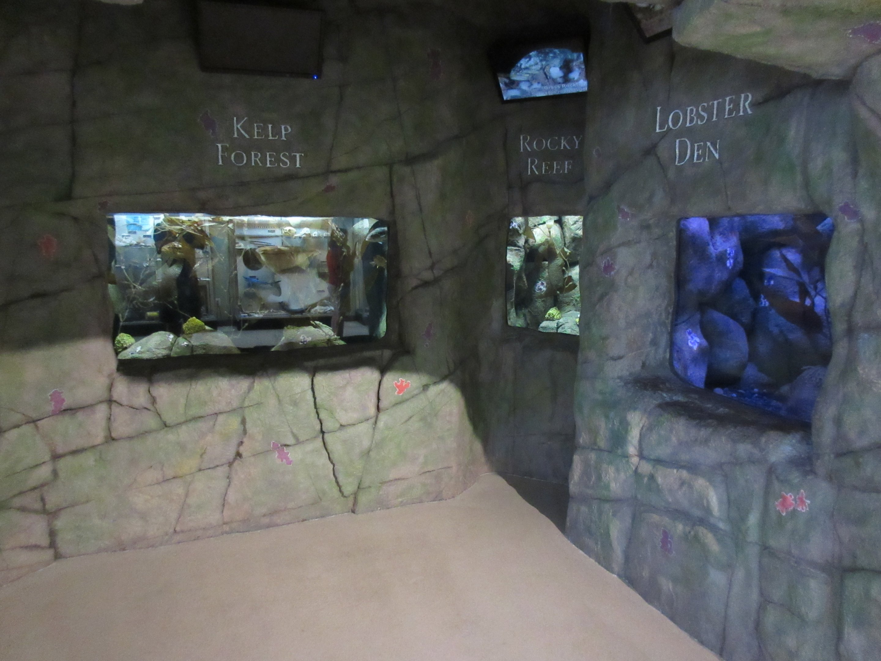 Underwater Adventure (5 tanks set in a cave)