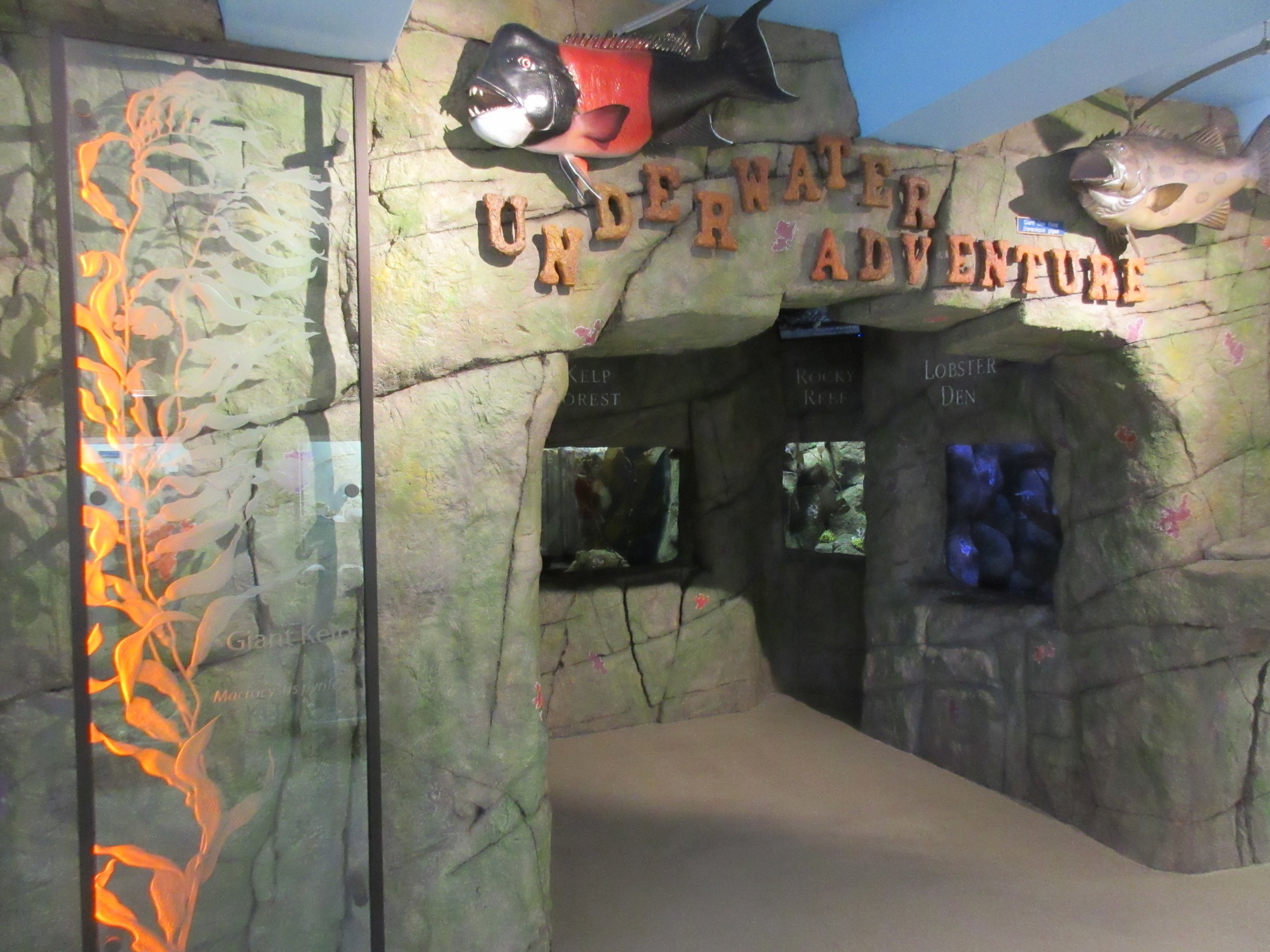 Underwater Adventure (5 tanks)