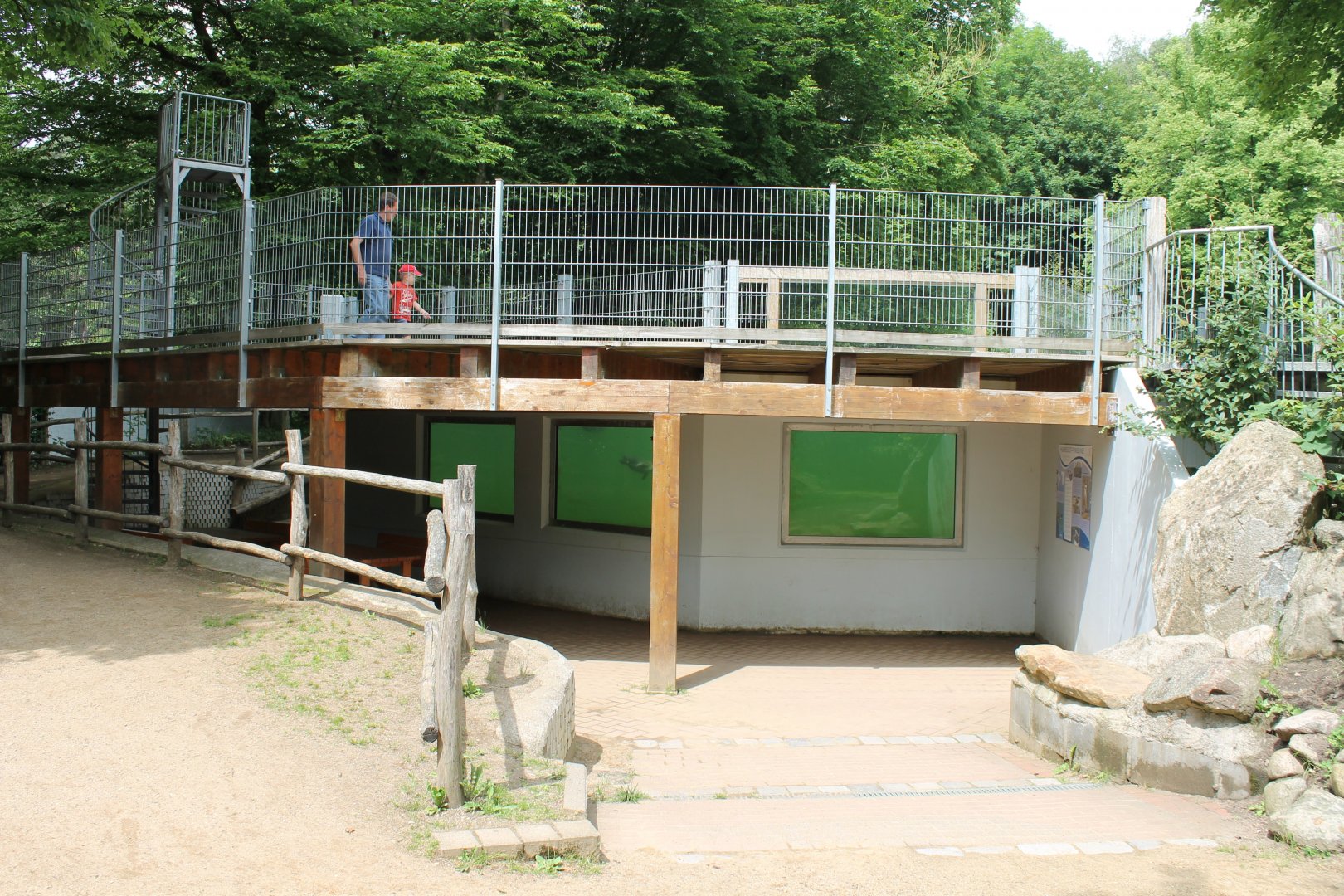 Underwater and Above-water viewing areas Penguins