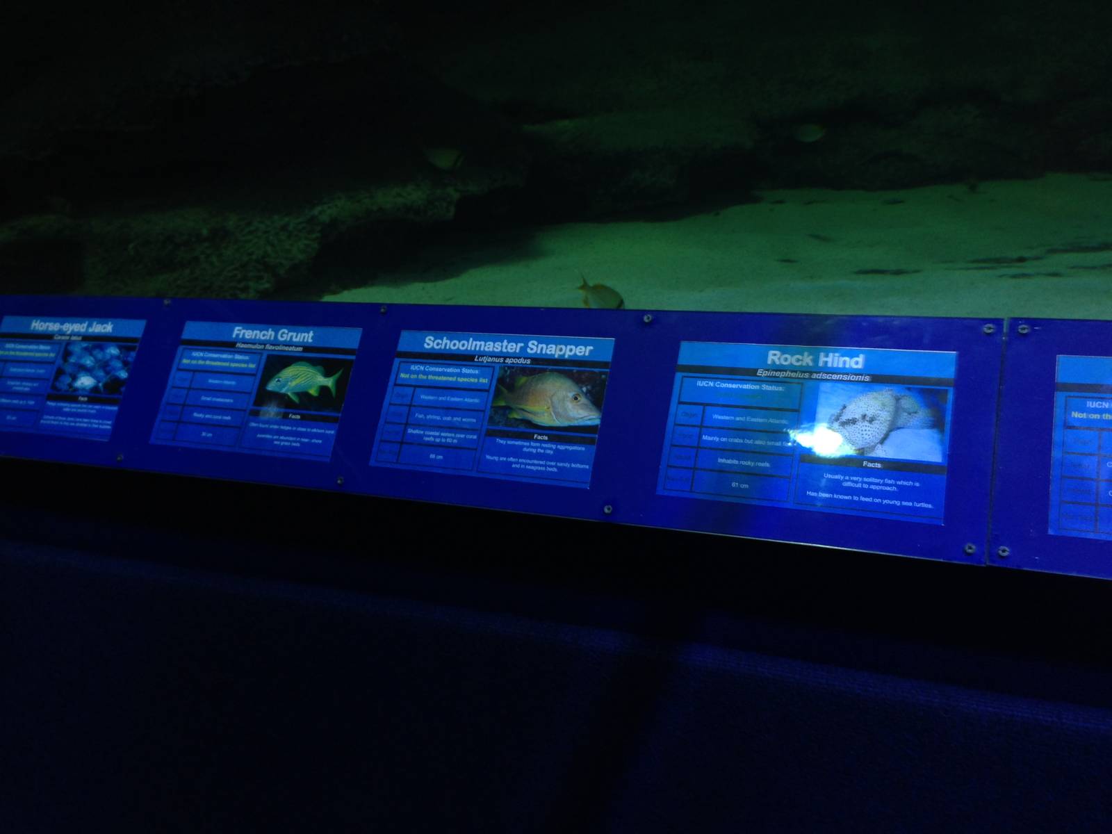 Underwater Aquatunnel / Caribbean Reef Exhibit Signage at Blue Planet Aquar