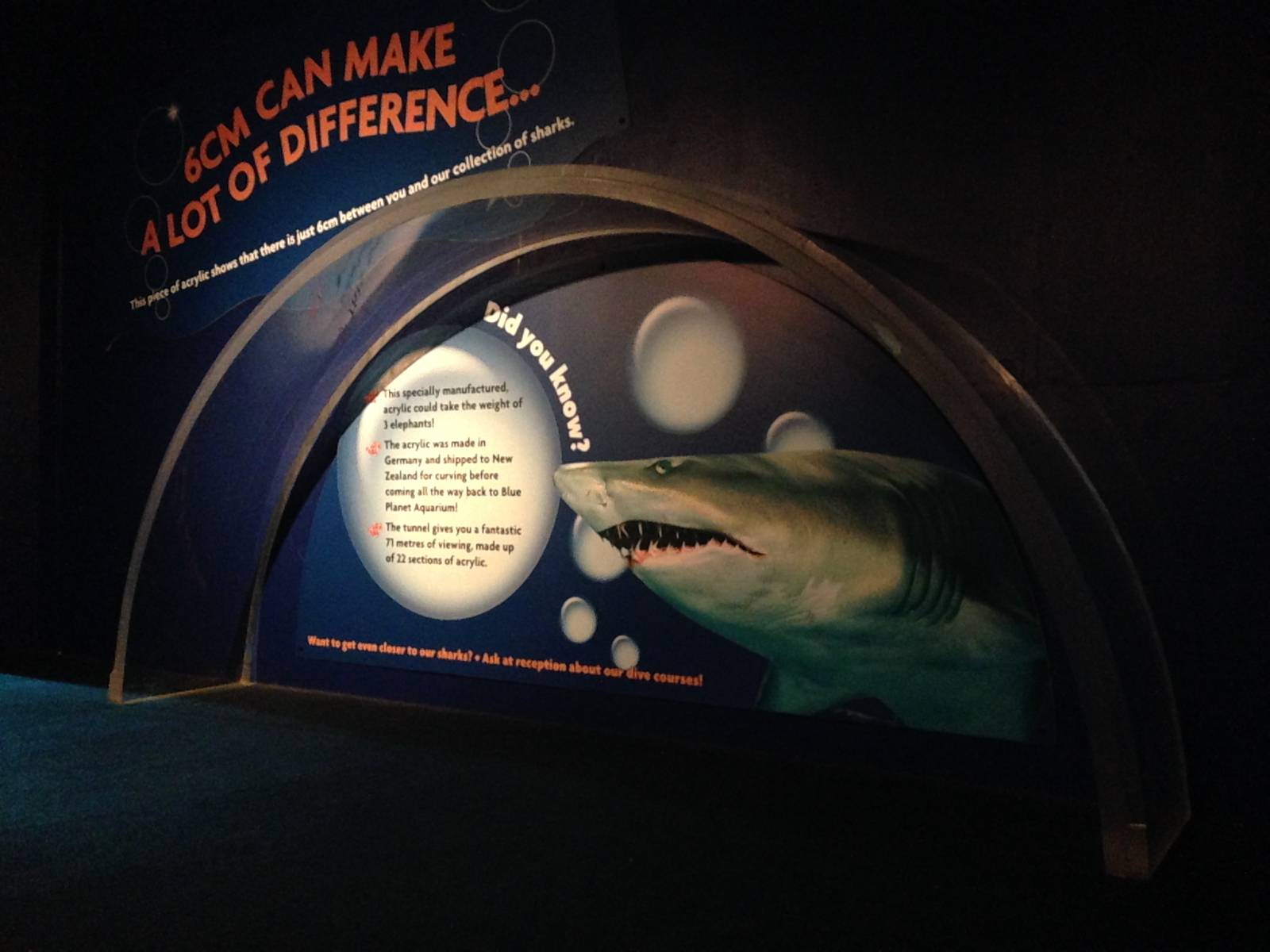 Underwater Aquatunnel Glass Thickness at Blue Planet Aquarium - 05/10/2013