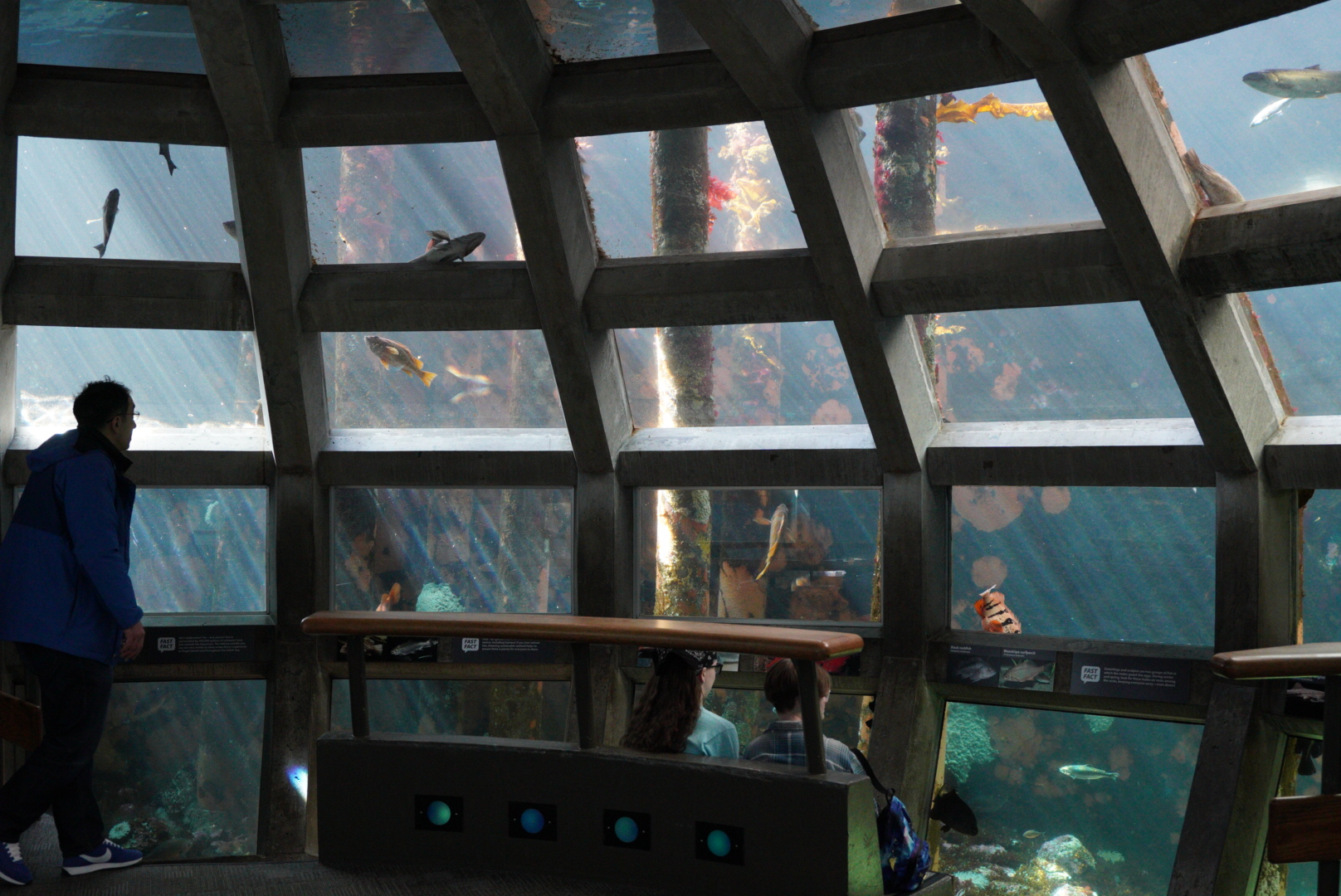 Underwater Dome (Dock Side)