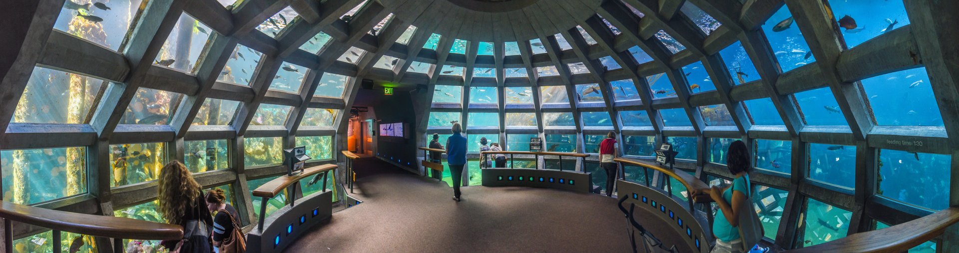Underwater Dome Exhibit at Seattle Aquarium