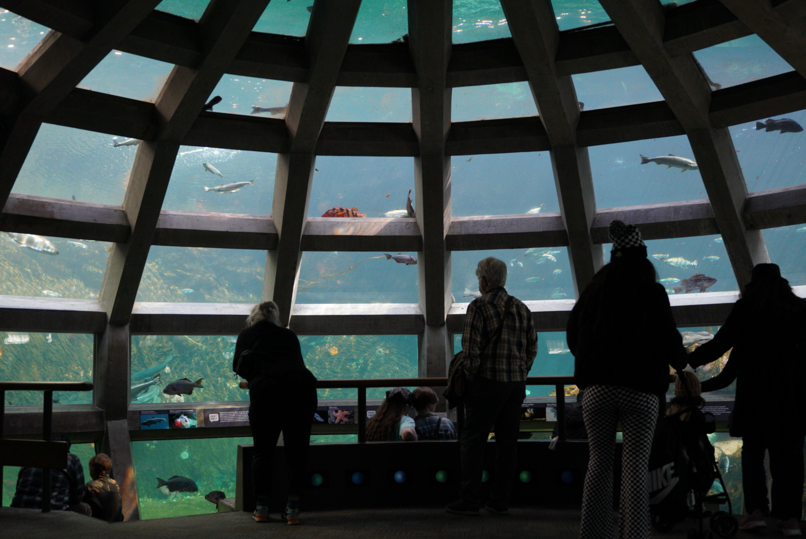 Underwater Dome (Open Side)