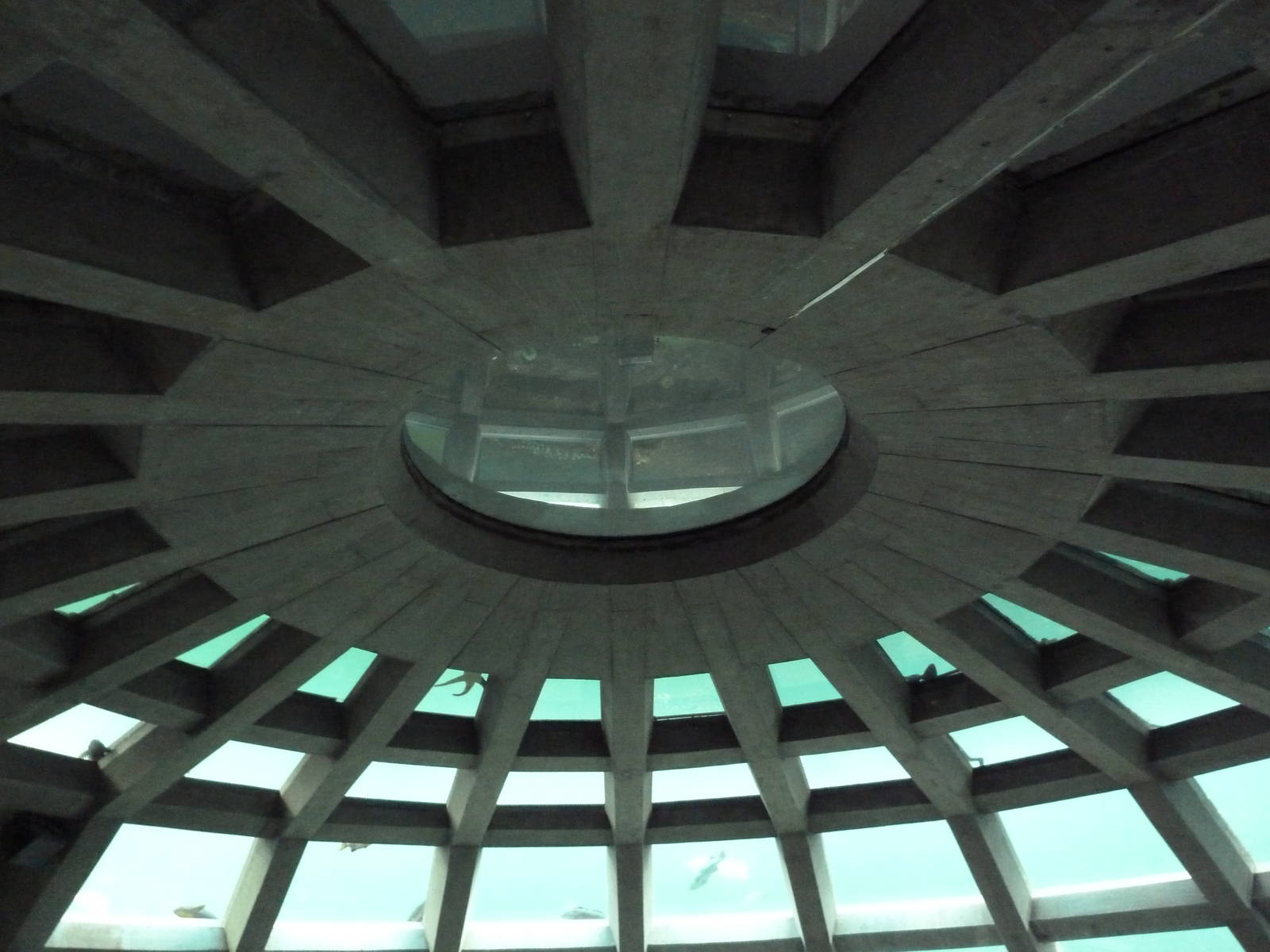 Underwater Dome Roof