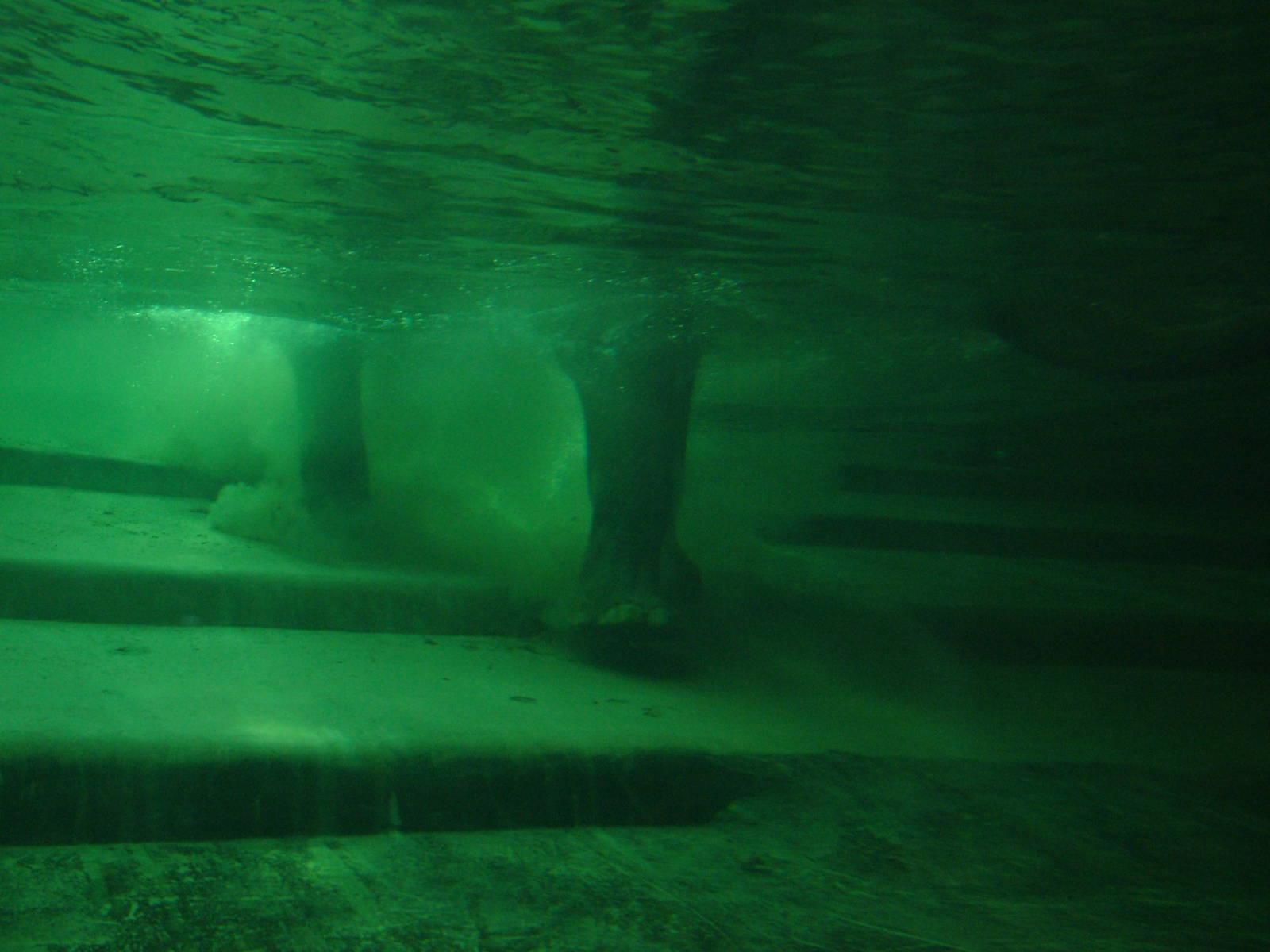 Underwater Elephant at Leipzig, 02/09/11