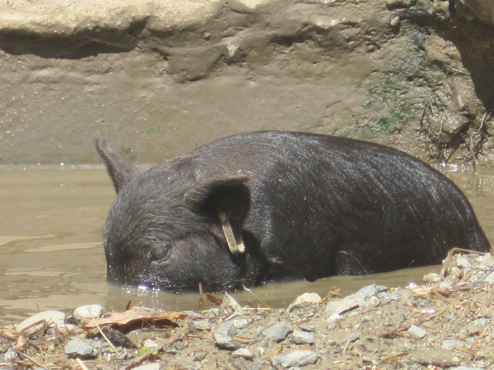 Underwater Exploration