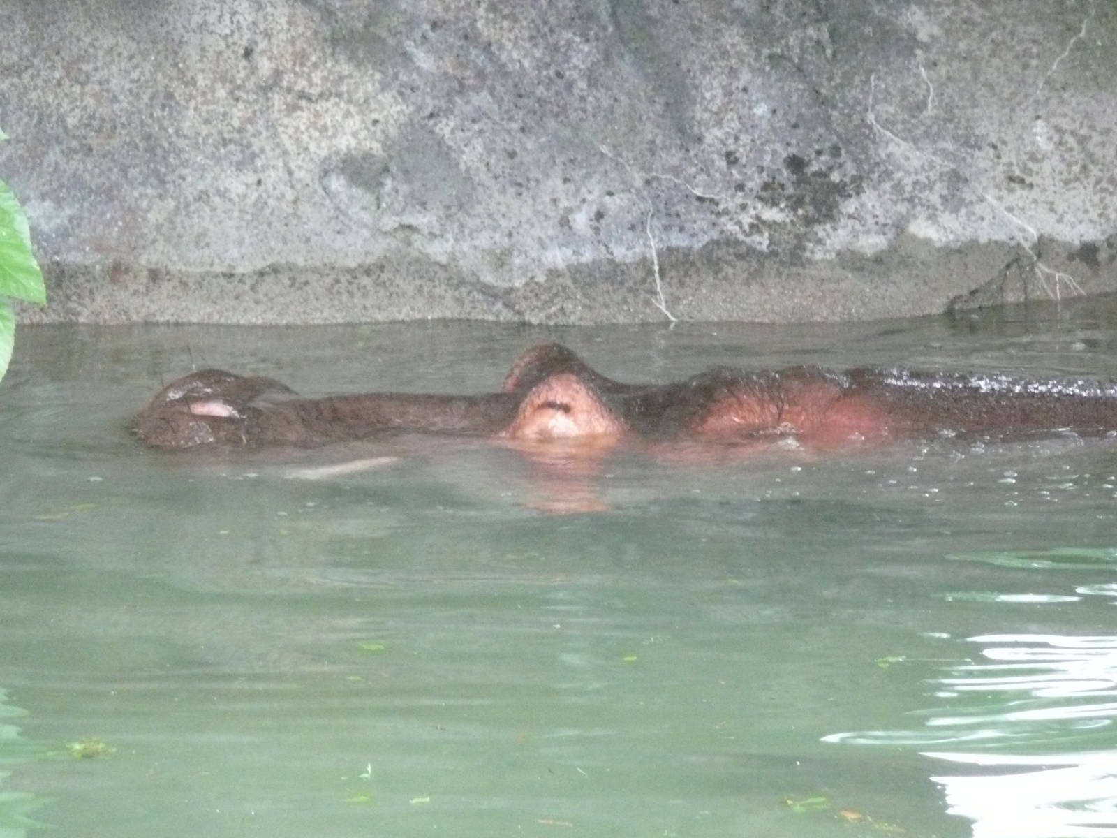 Underwater marbles????