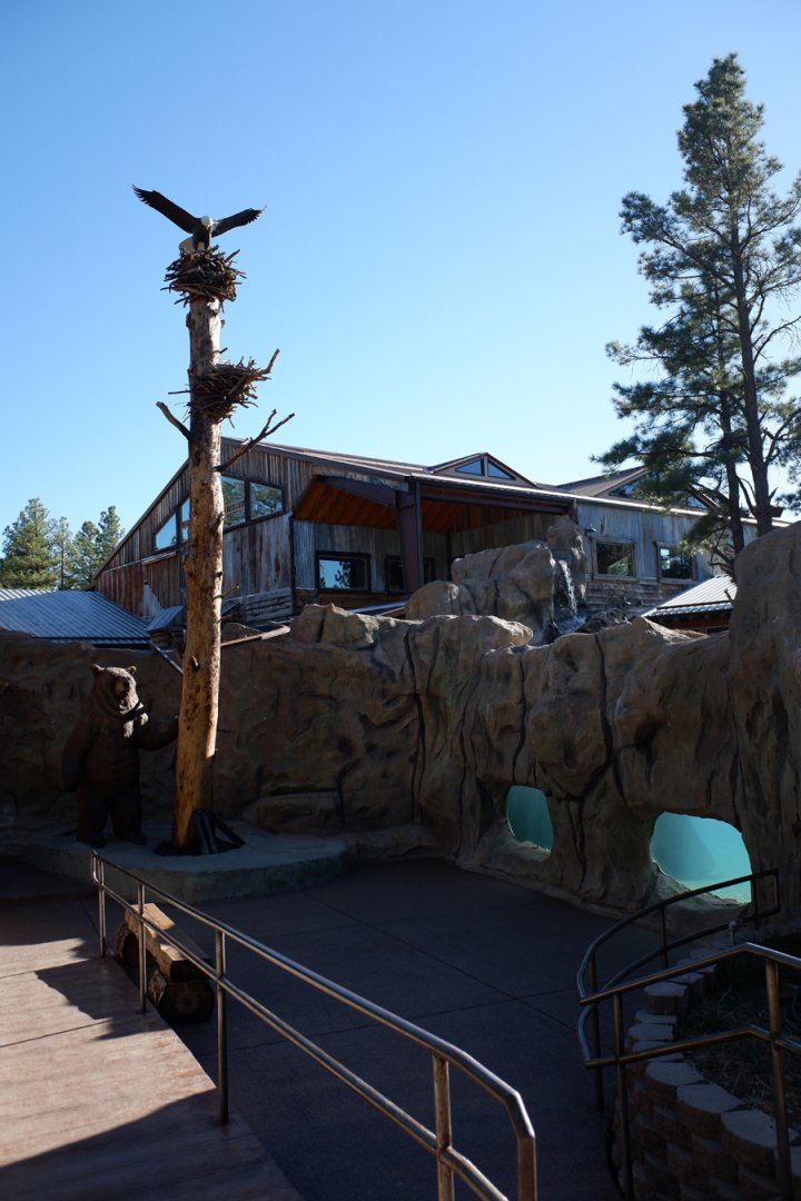 underwater otter viewing