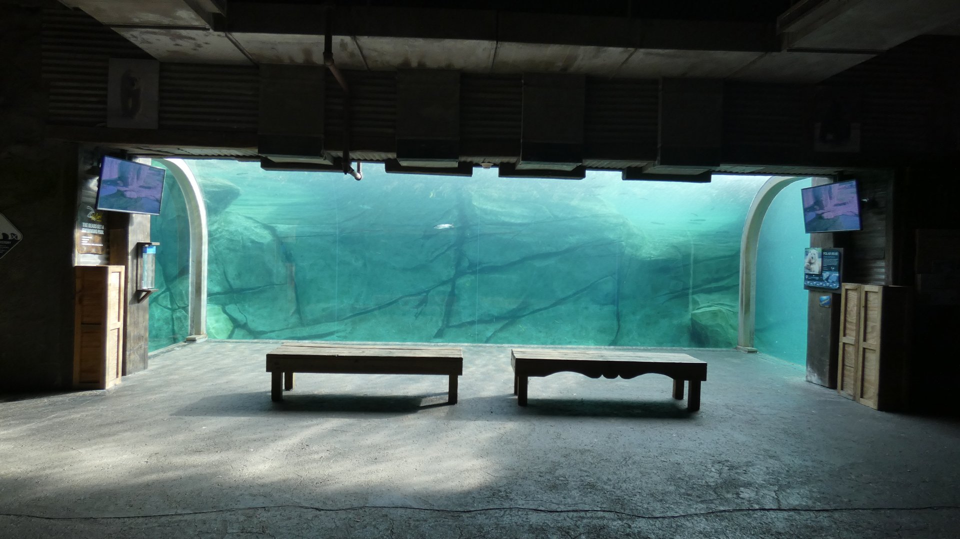 Underwater Polar Bear Viewing, Polar Frontier - Nov. 2021