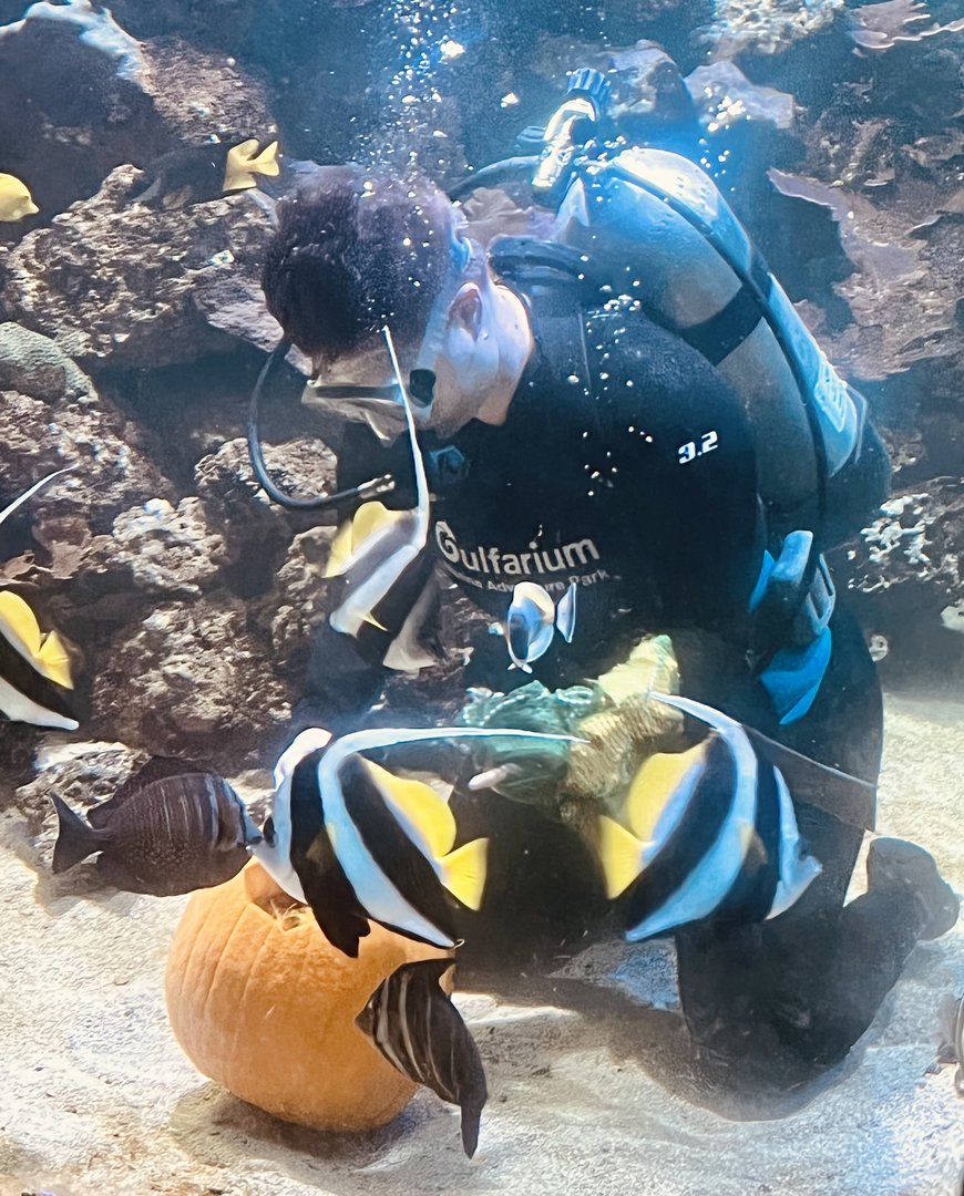 Underwater Pumpkin Carving