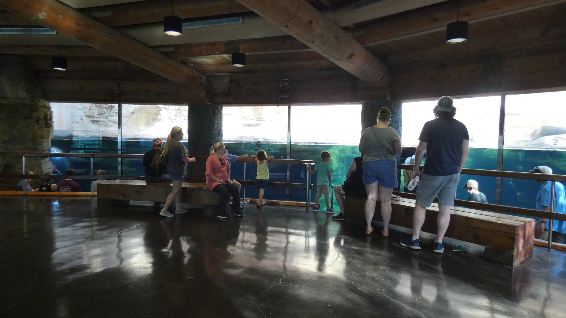 Underwater Sea Lion Viewing, Northwest Passage - Sep. 2021