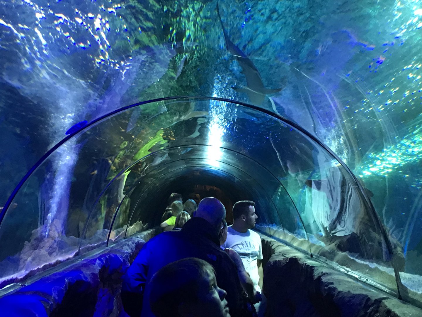 Underwater tunnel 090818