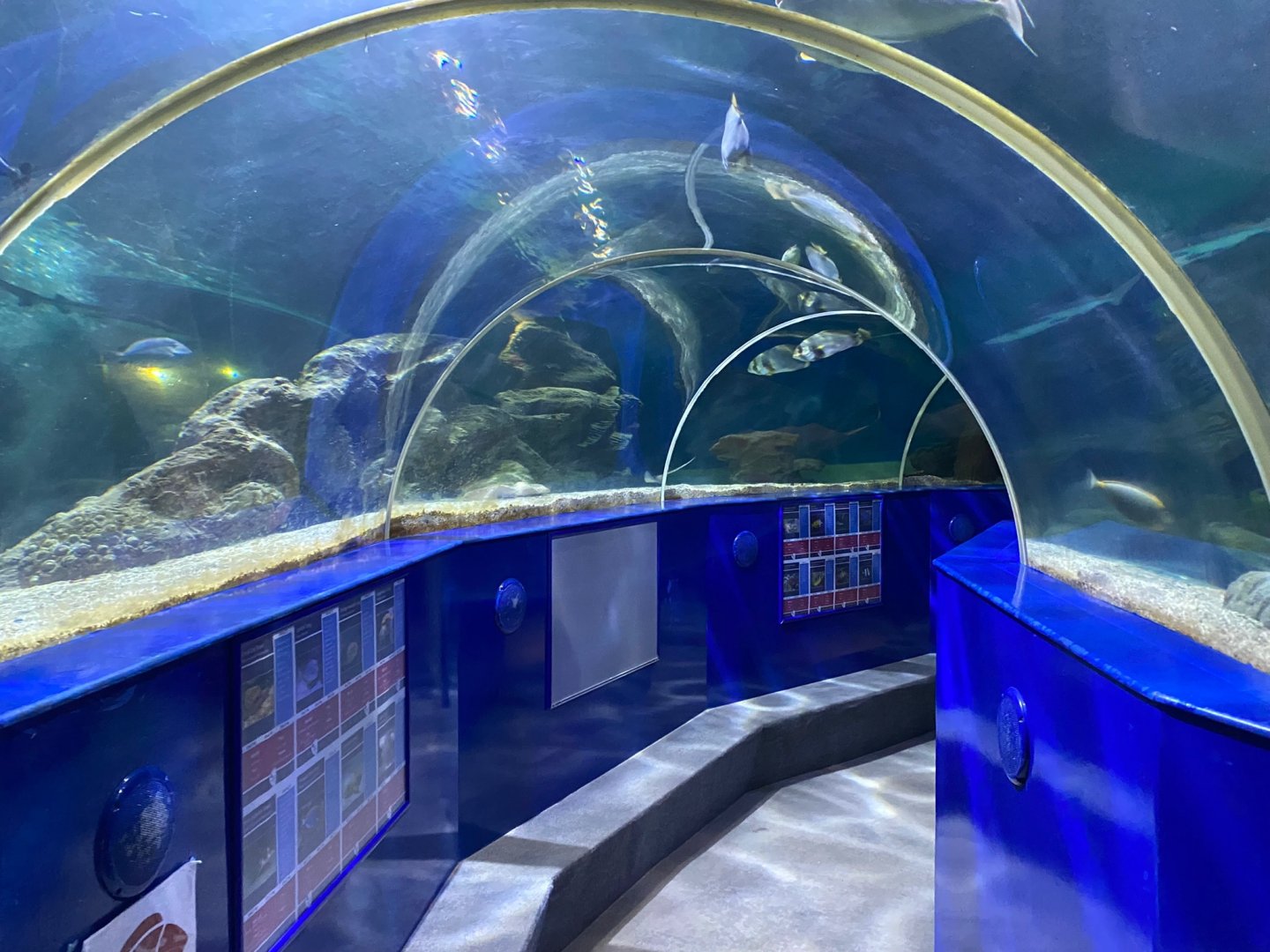 Underwater tunnel 240122