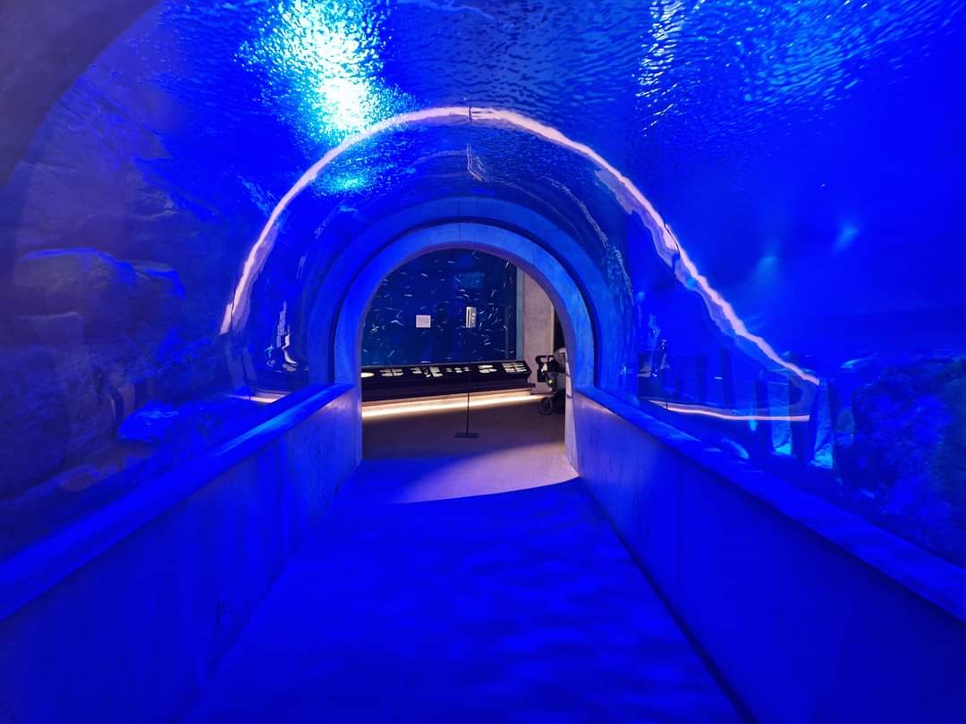 Underwater tunnel, Baltic Sea Science Center