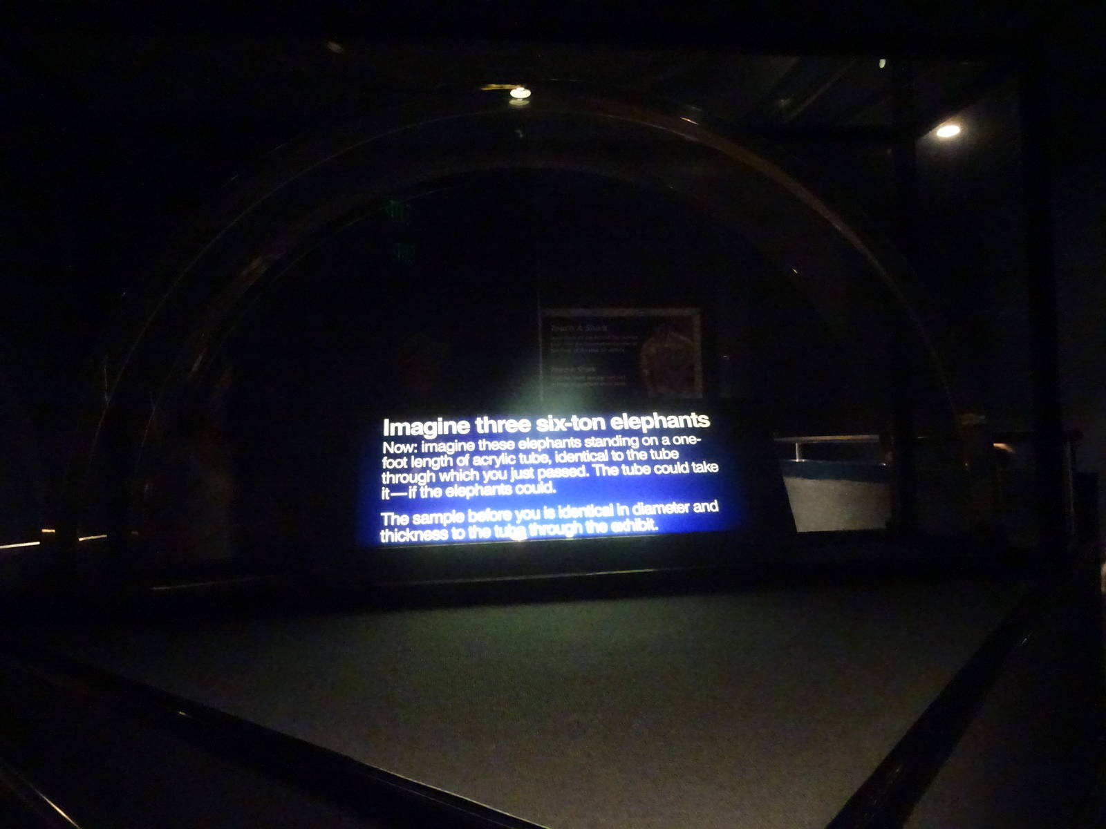 Underwater Tunnel Glass Thickness at SeaWorld Orlando