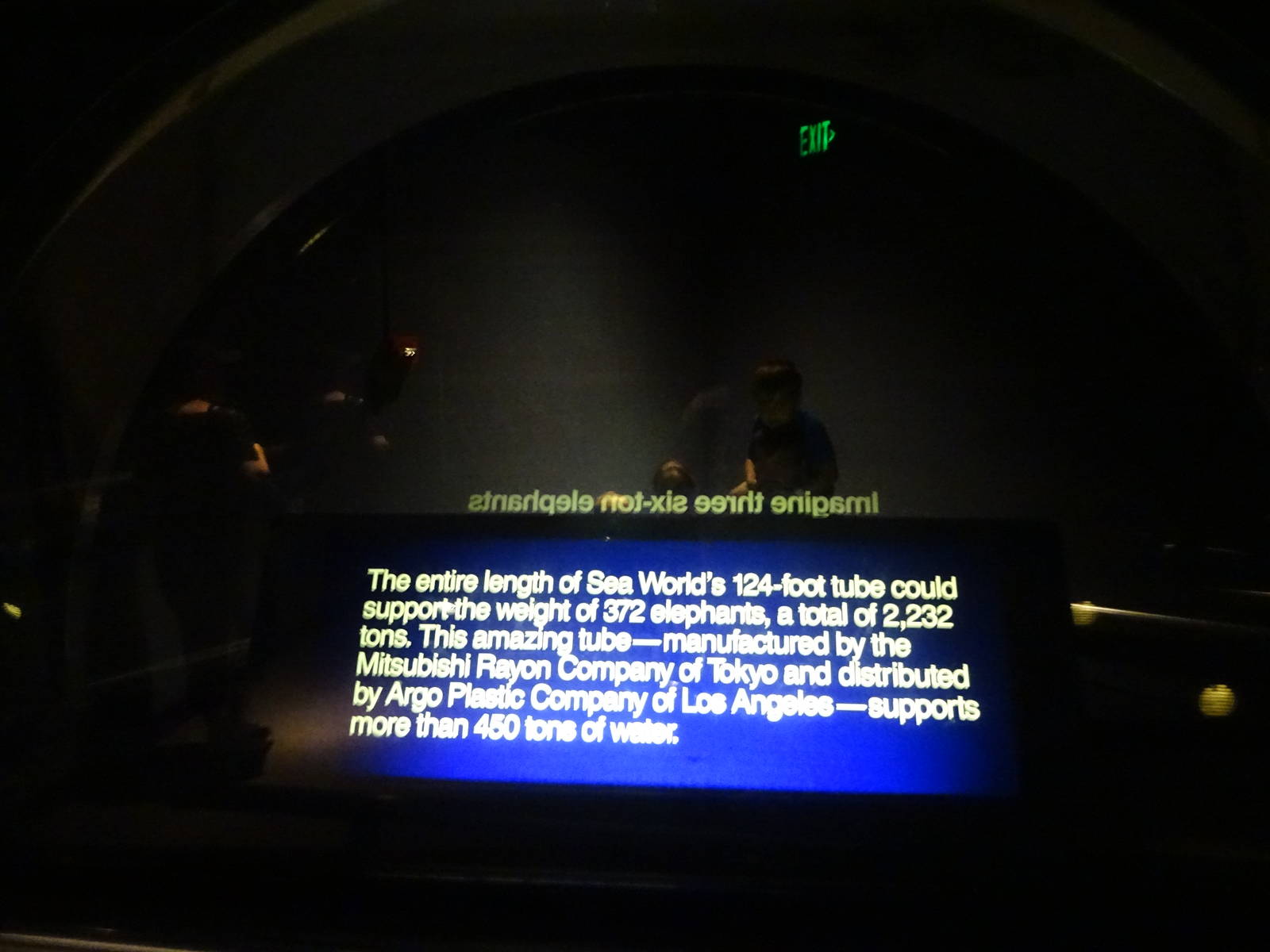 Underwater Tunnel Glass Thickness at SeaWorld Orlando