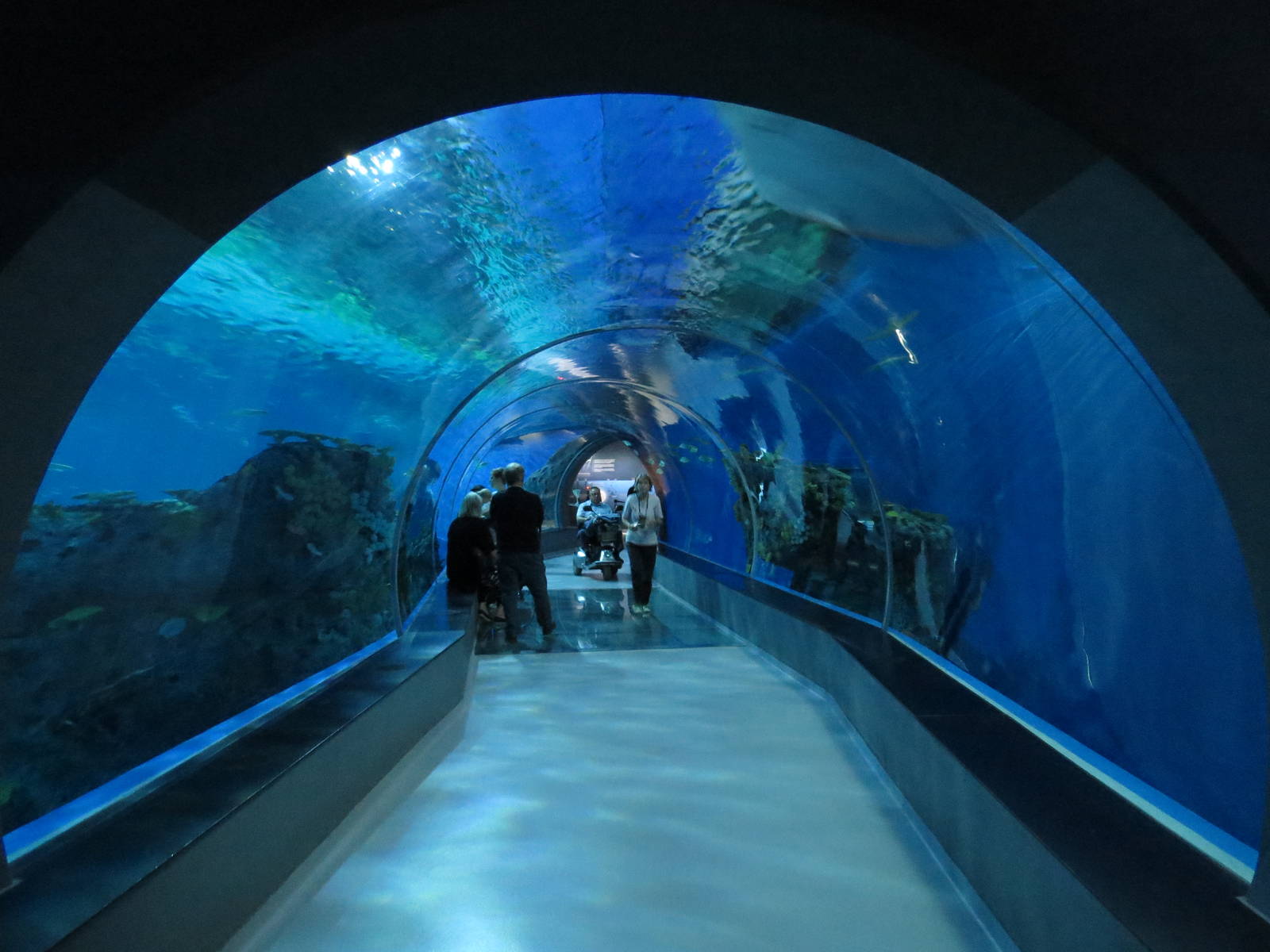 Underwater tunnel, June 2015.