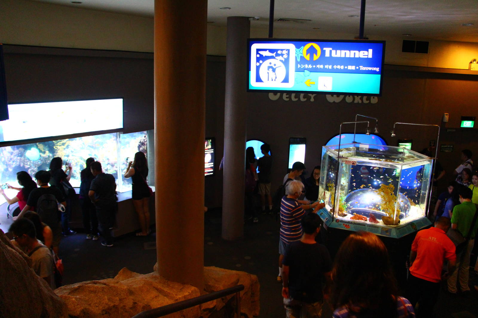 Underwater Tunnel Level Foyer