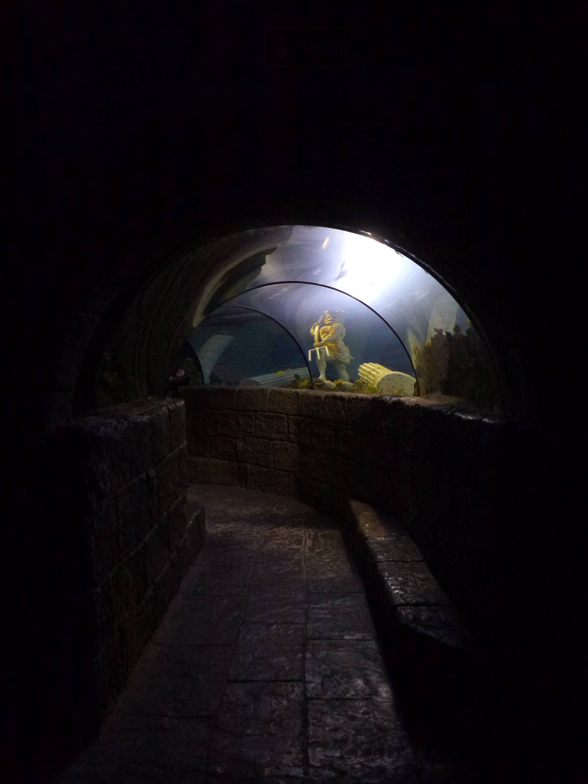 Underwater tunnel, November 2013.
