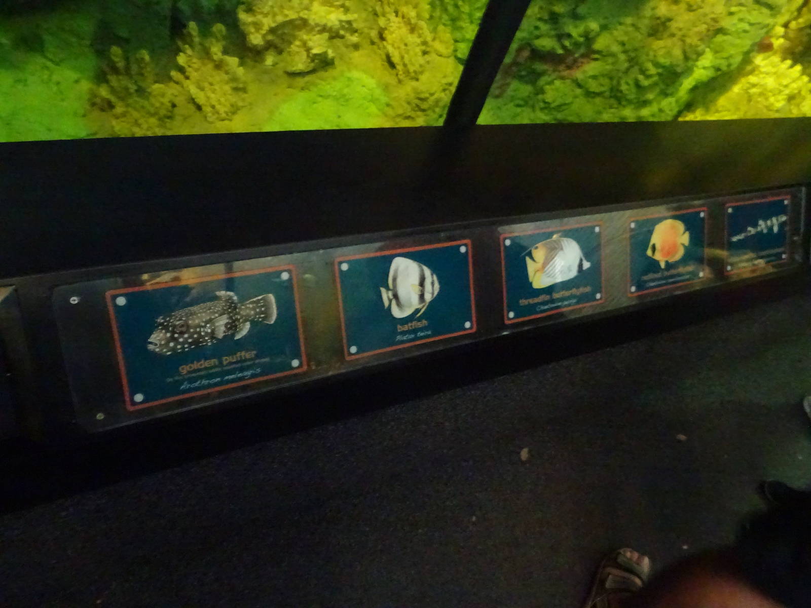 Underwater Tunnel Signs at SeaWorld Orlando