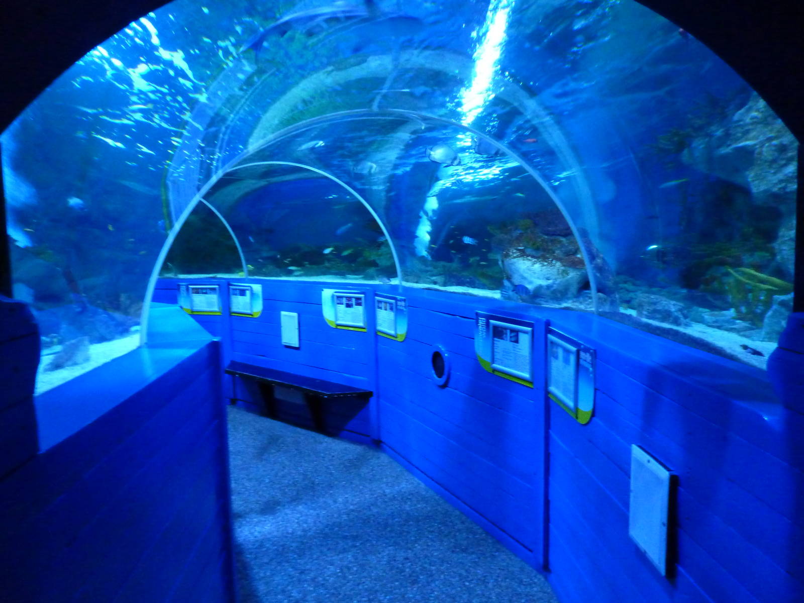 Underwater tunnel