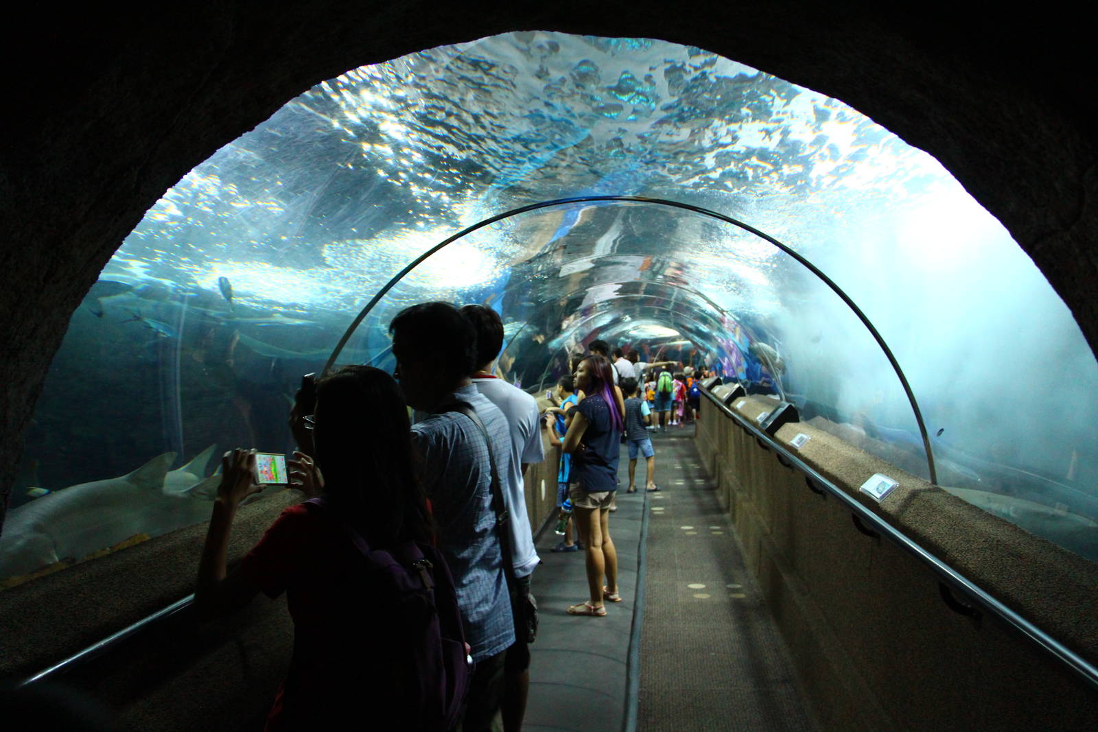 Underwater Tunnel